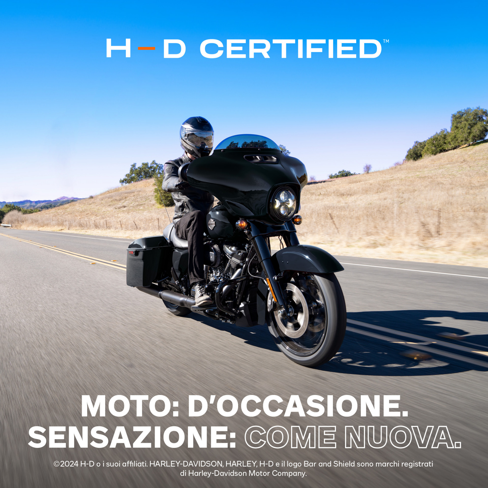 HARLEY-DAVIDSON FLHX 1923 Street Glide 117-image-5