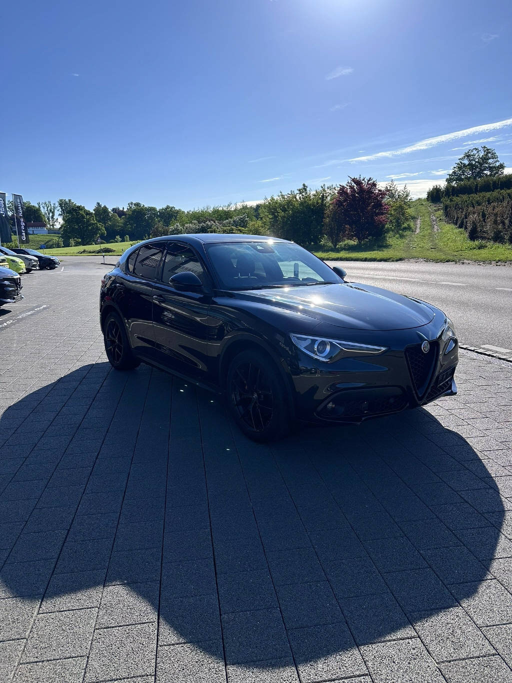 ALFA ROMEO Stelvio 2.2 D Q4 190 Sprint-showroom-element-3