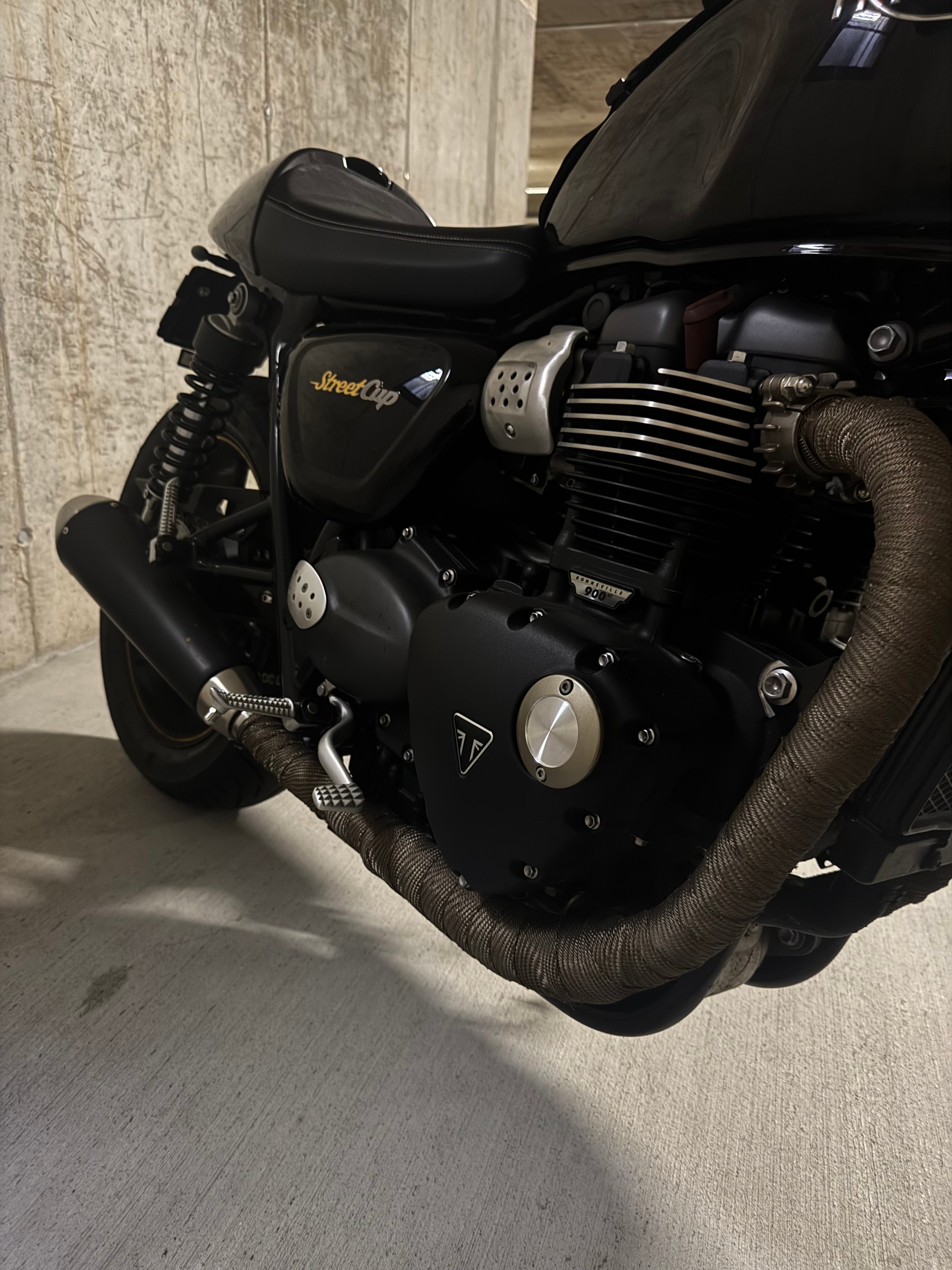TRIUMPH Street Cup 900-image-6
