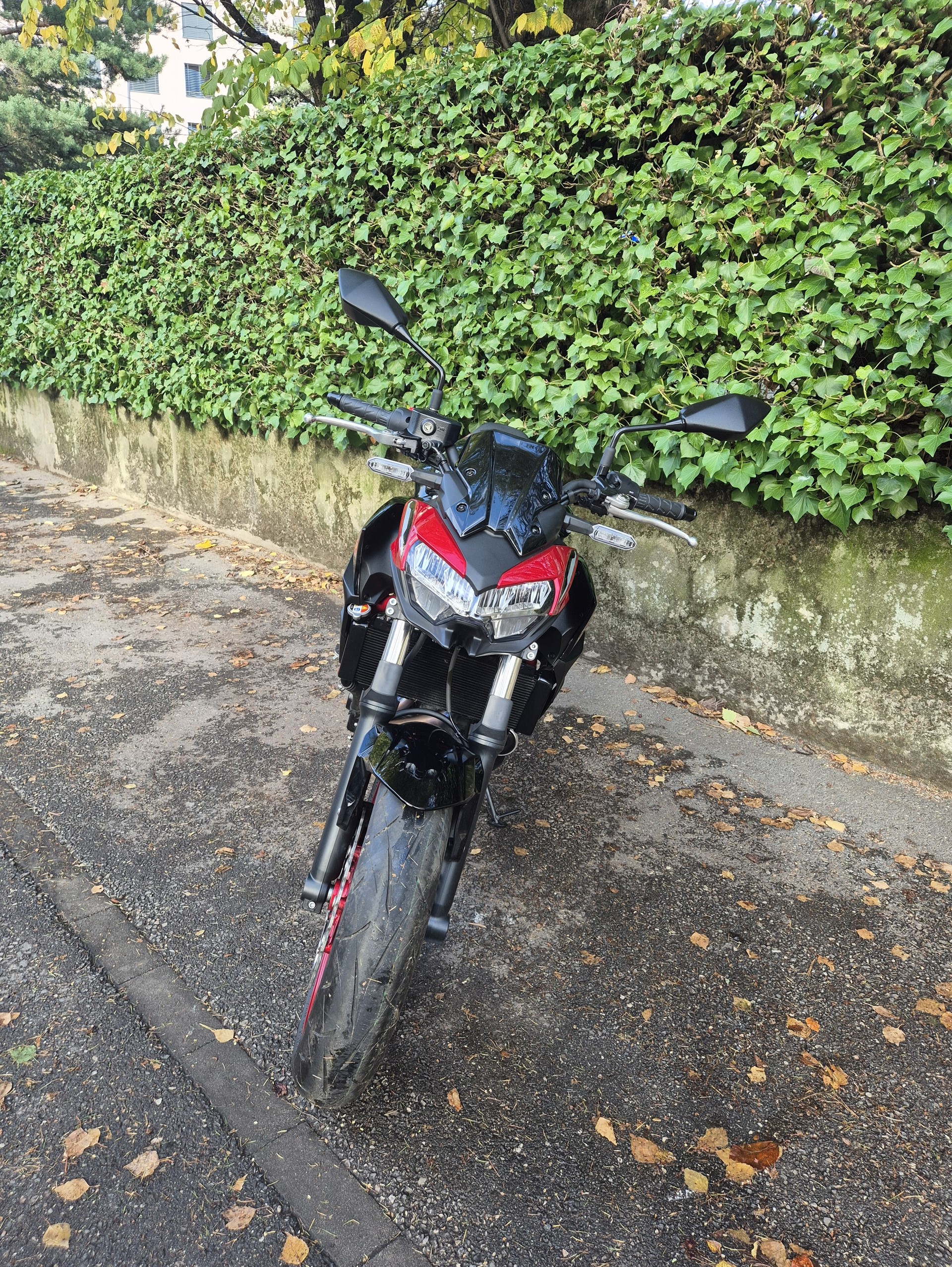 KAWASAKI Z 650-image-6