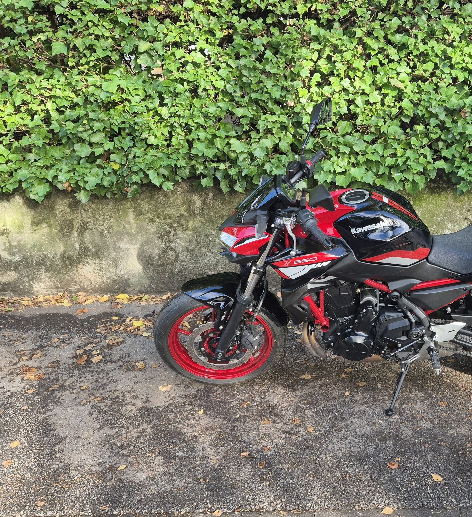 KAWASAKI Z 650-image-9