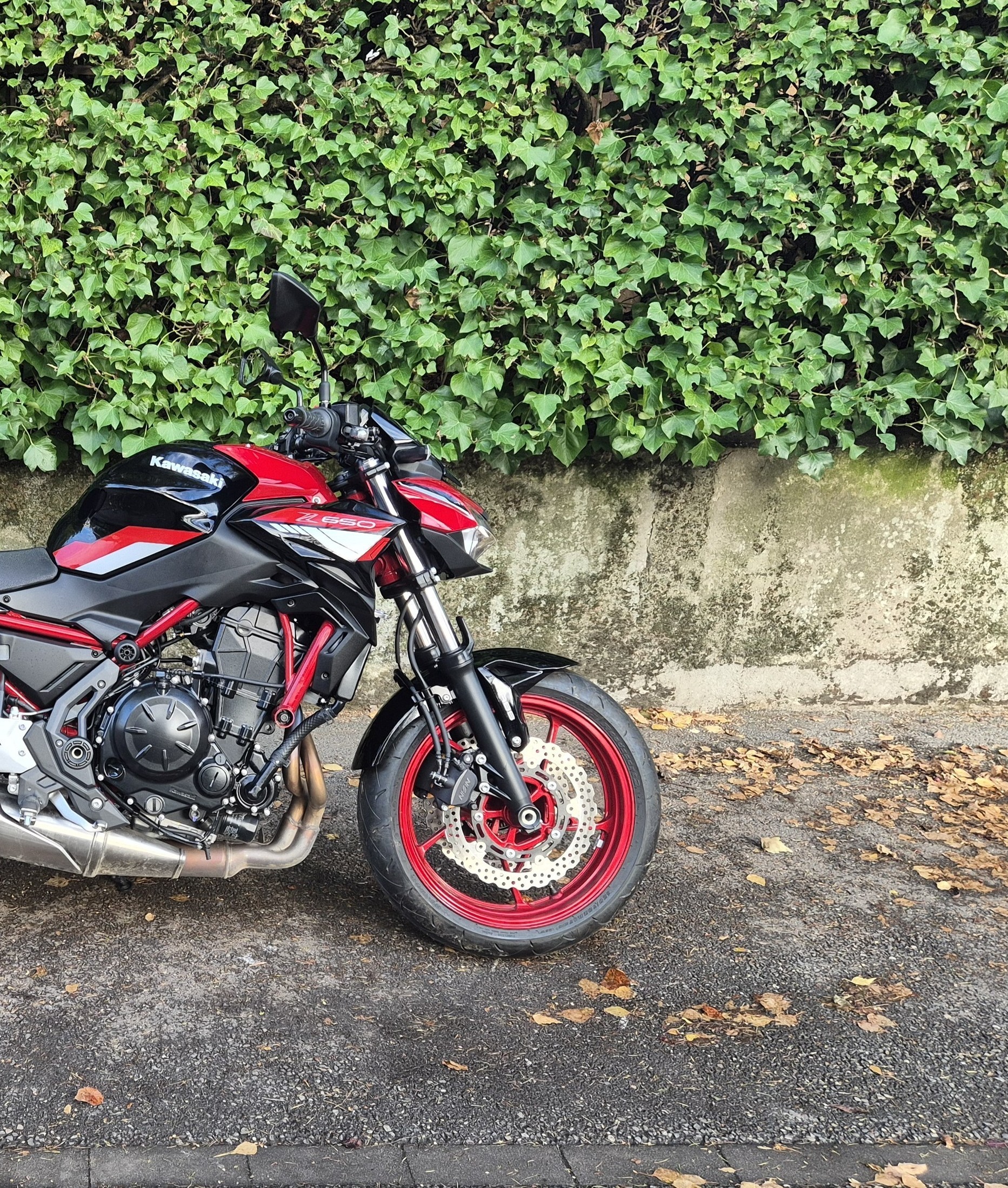 KAWASAKI Z 650-image-11
