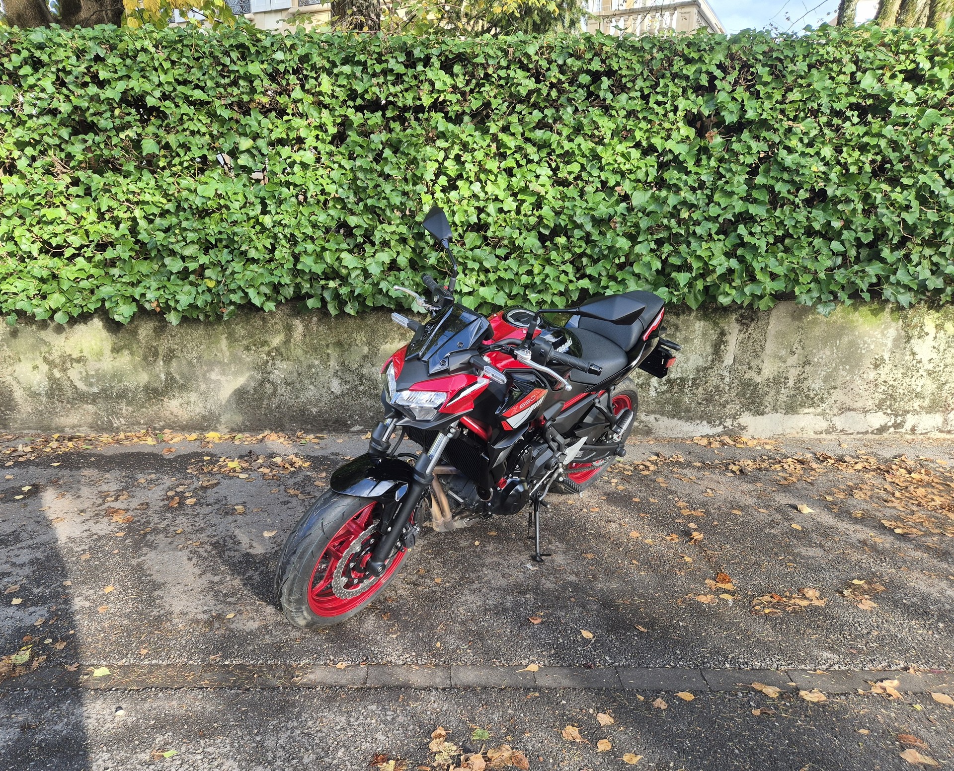 KAWASAKI Z 650-image-3