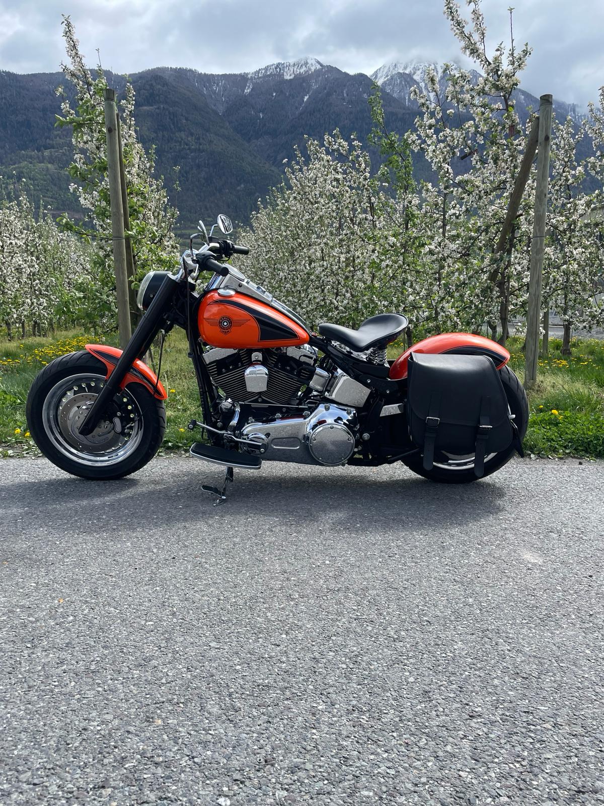 HARLEY-DAVIDSON FLSTFI Fat Boy