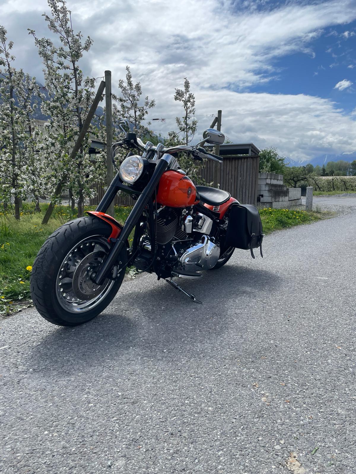 HARLEY-DAVIDSON FLSTFI Fat Boy-image-6