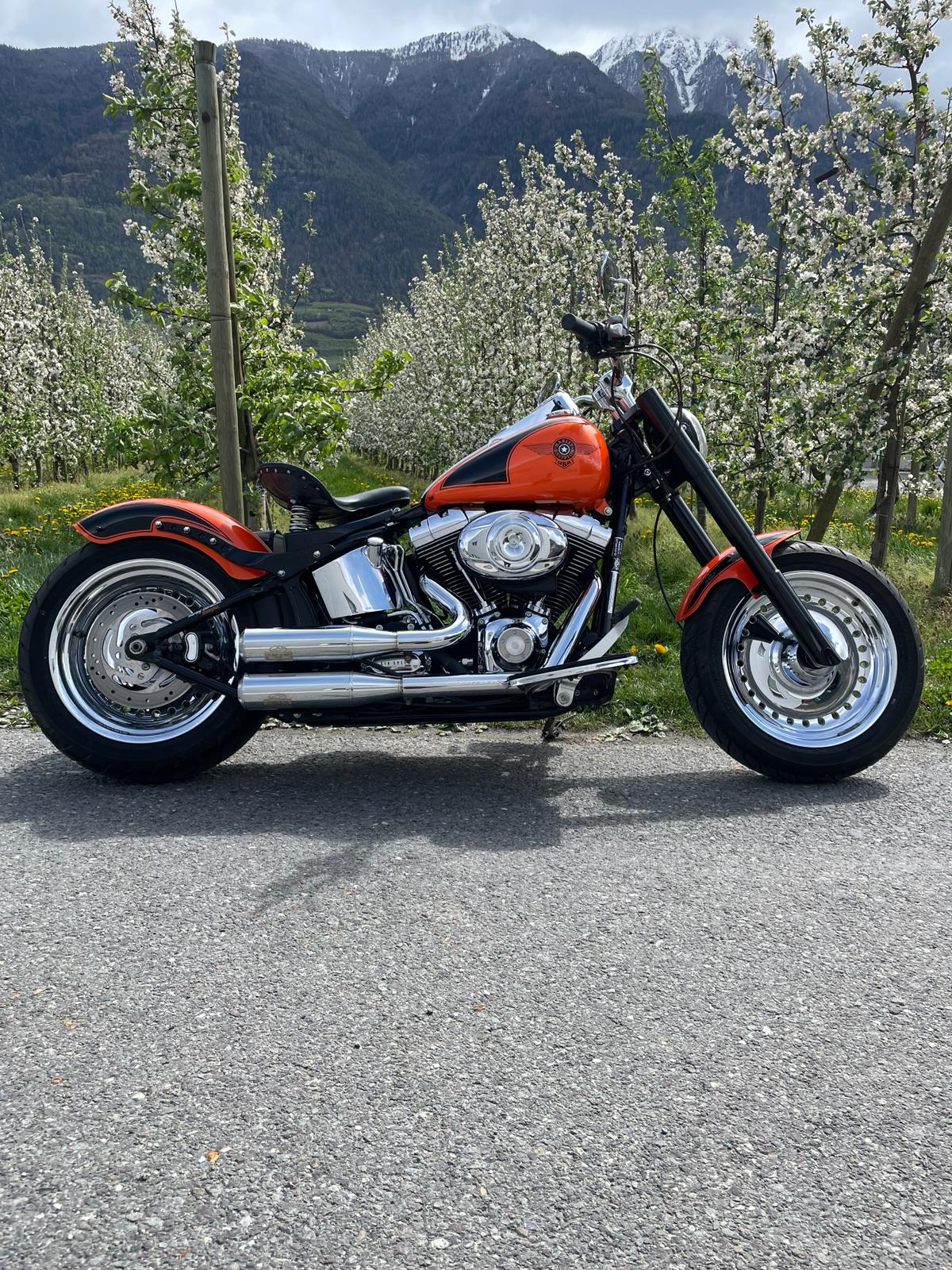 HARLEY-DAVIDSON FLSTFI Fat Boy-image-1