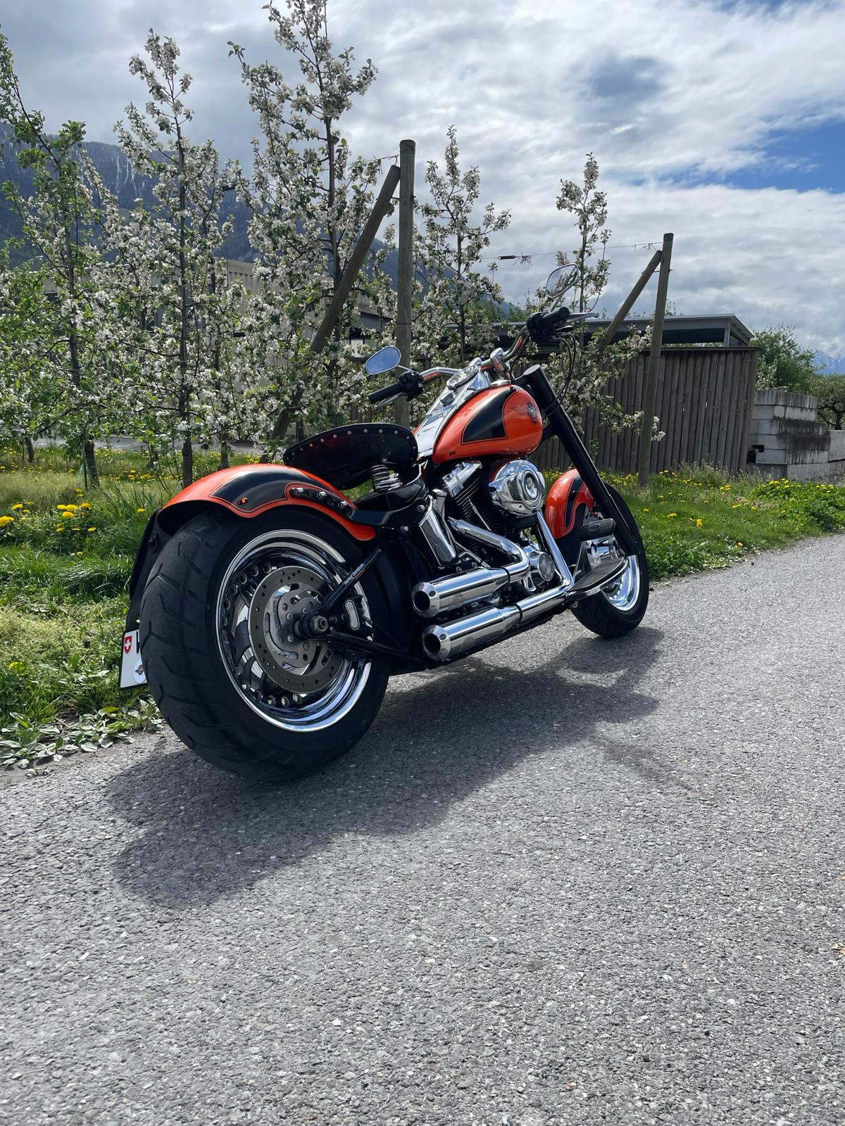 HARLEY-DAVIDSON FLSTFI Fat Boy-image-3