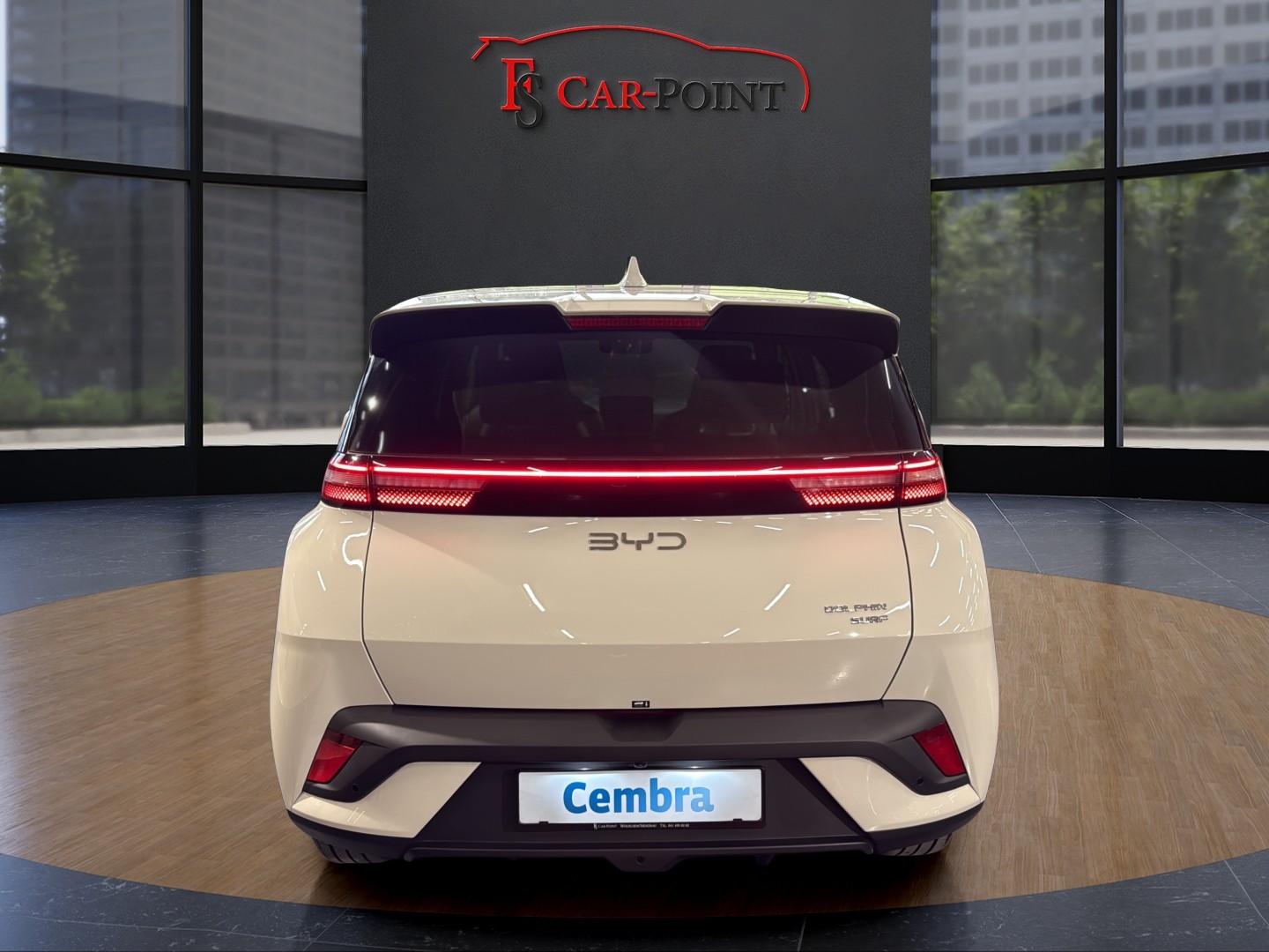 BYD Dolphin Surf 43 kWh Boost-showroom-element-3