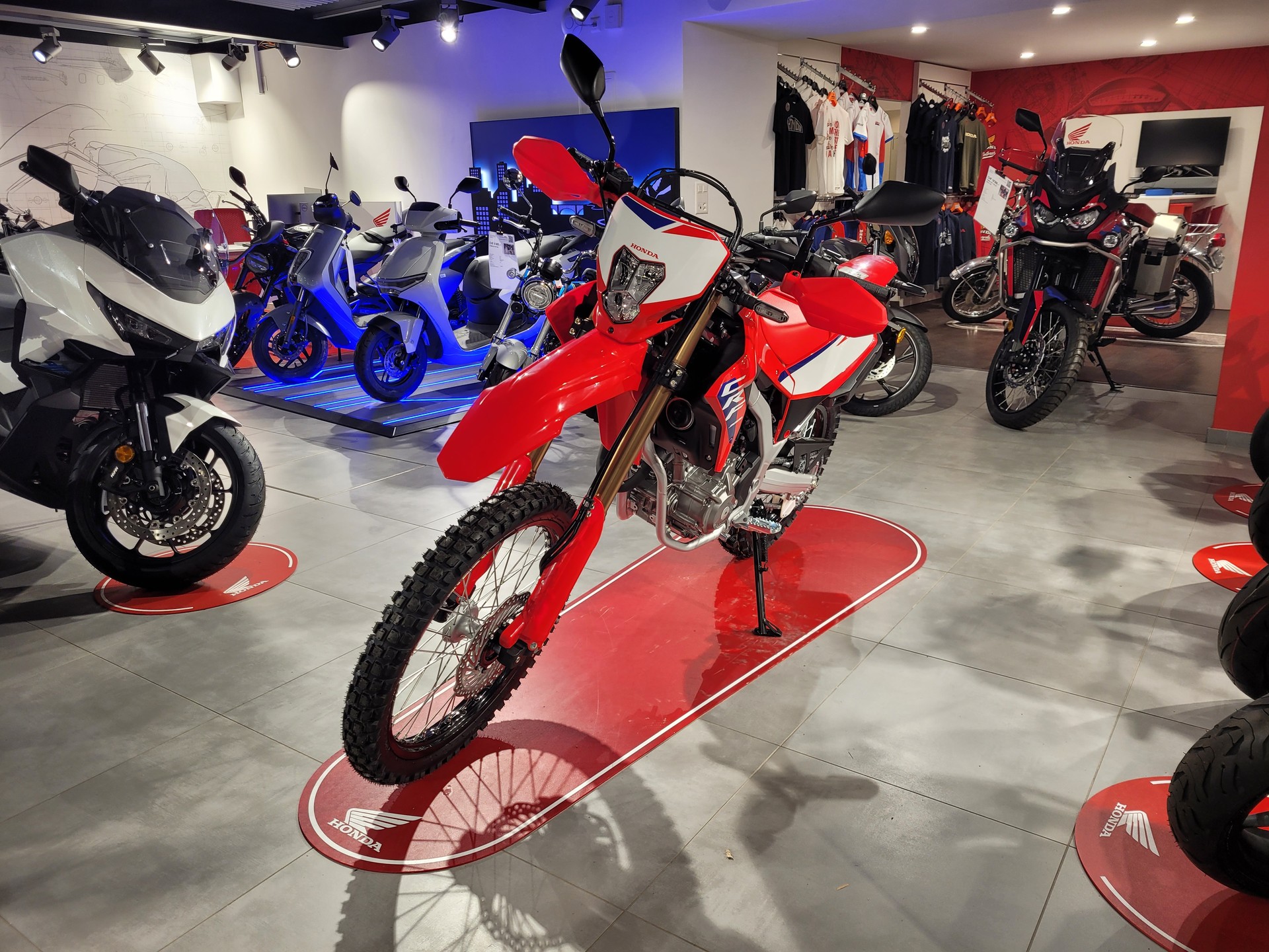 HONDA CRF 300 L-image-4