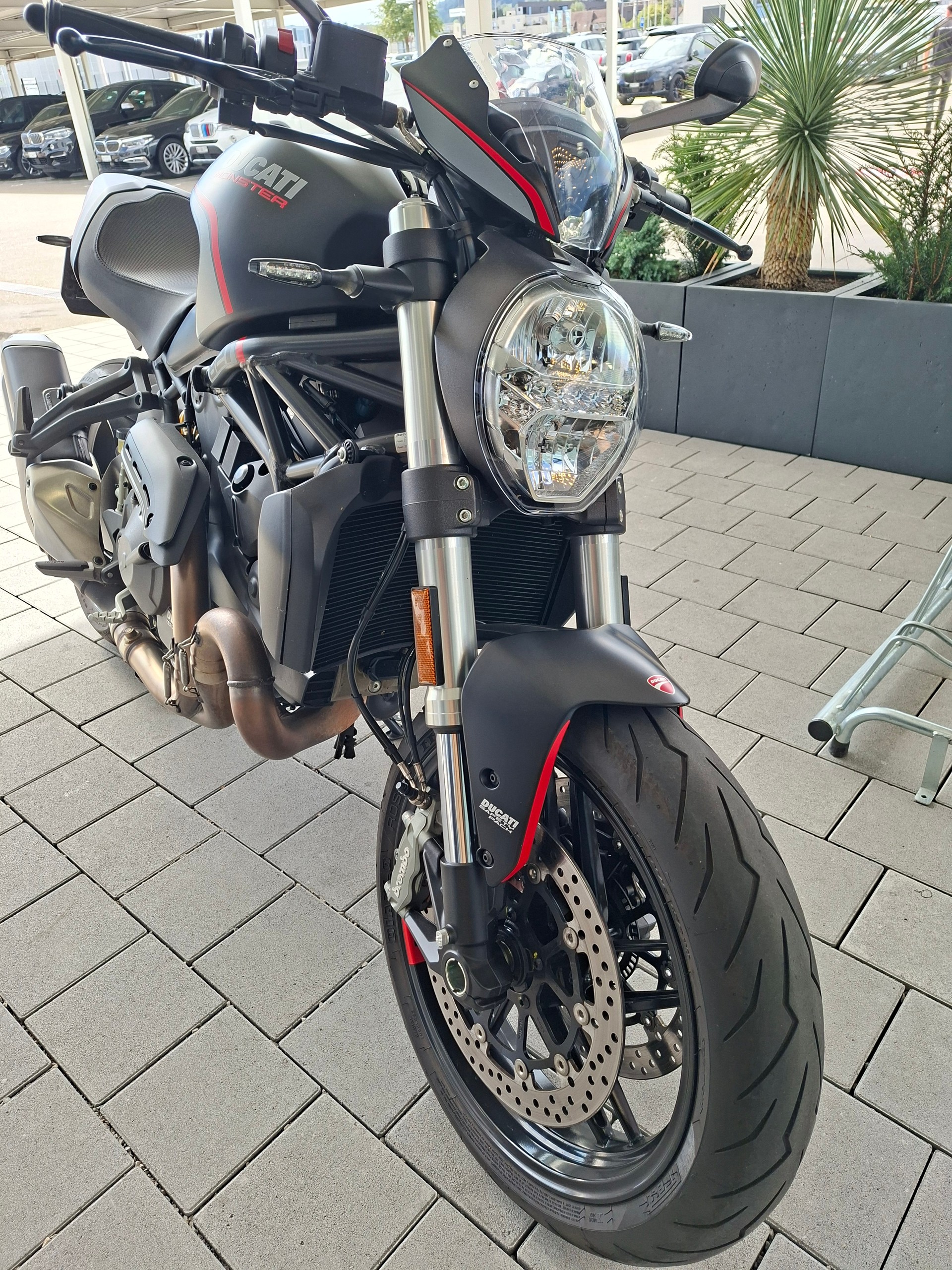 DUCATI Monster 821-image-2