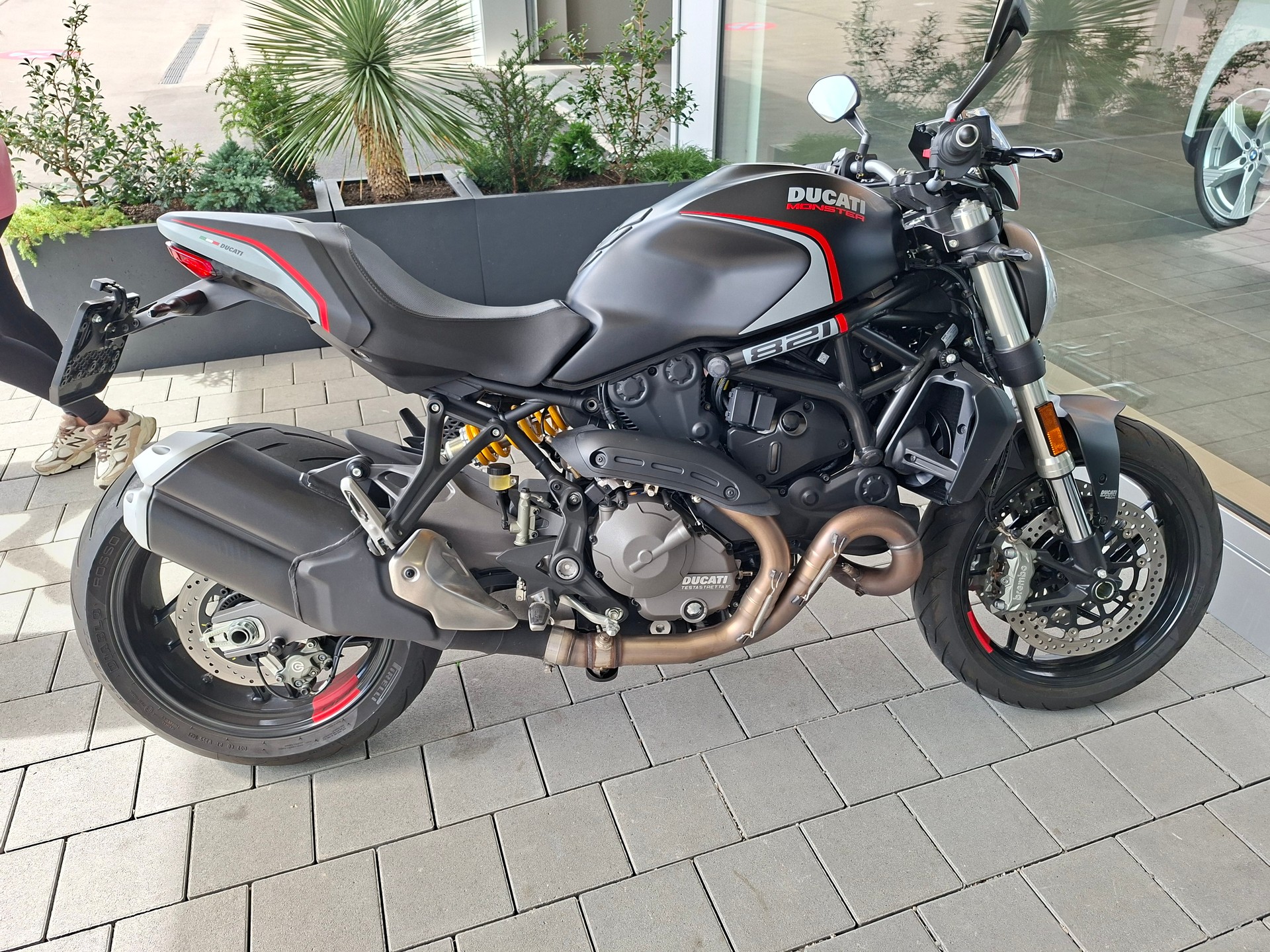 DUCATI Monster 821-image-3