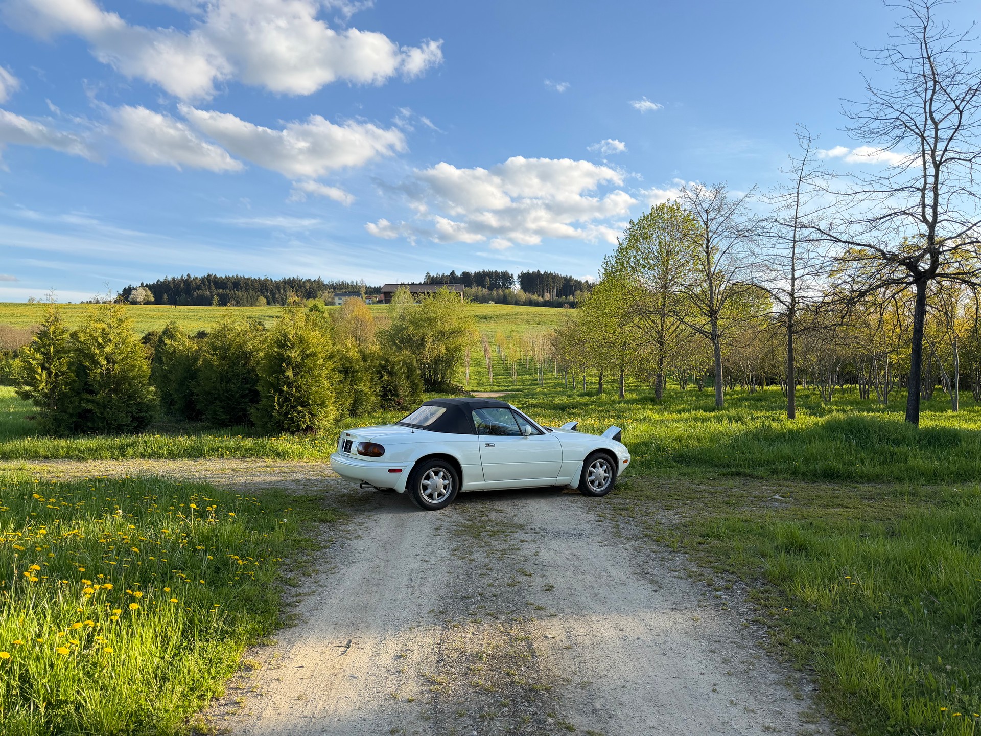 MAZDA MX-5 1.6i-16-image-6