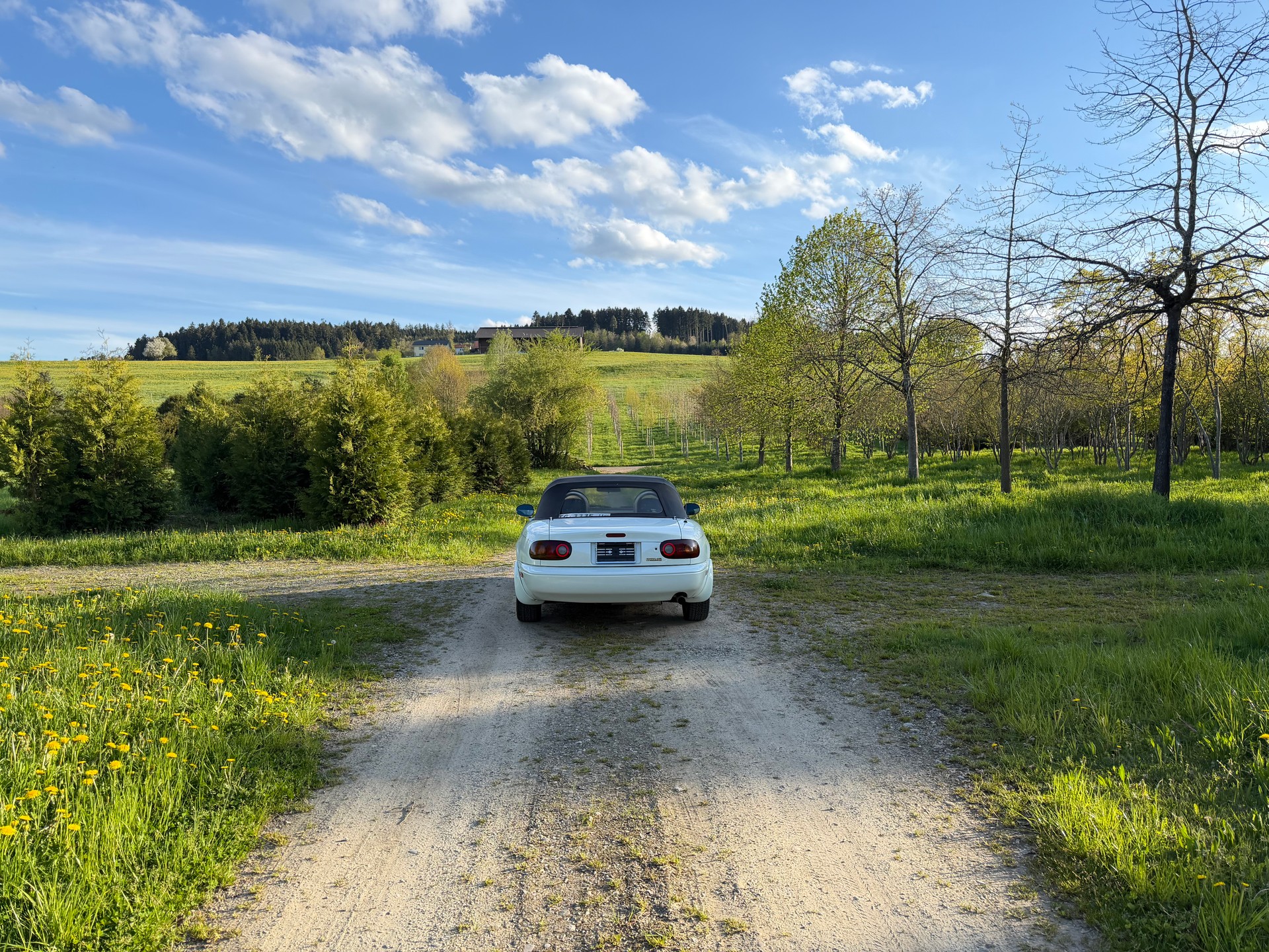 MAZDA MX-5 1.6i-16-image-5