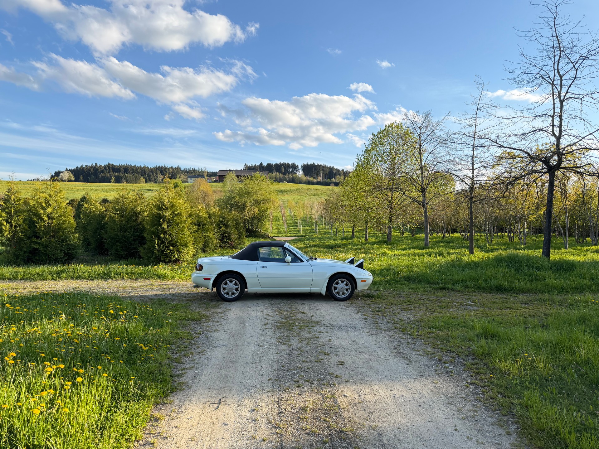 MAZDA MX-5 1.6i-16-image-7