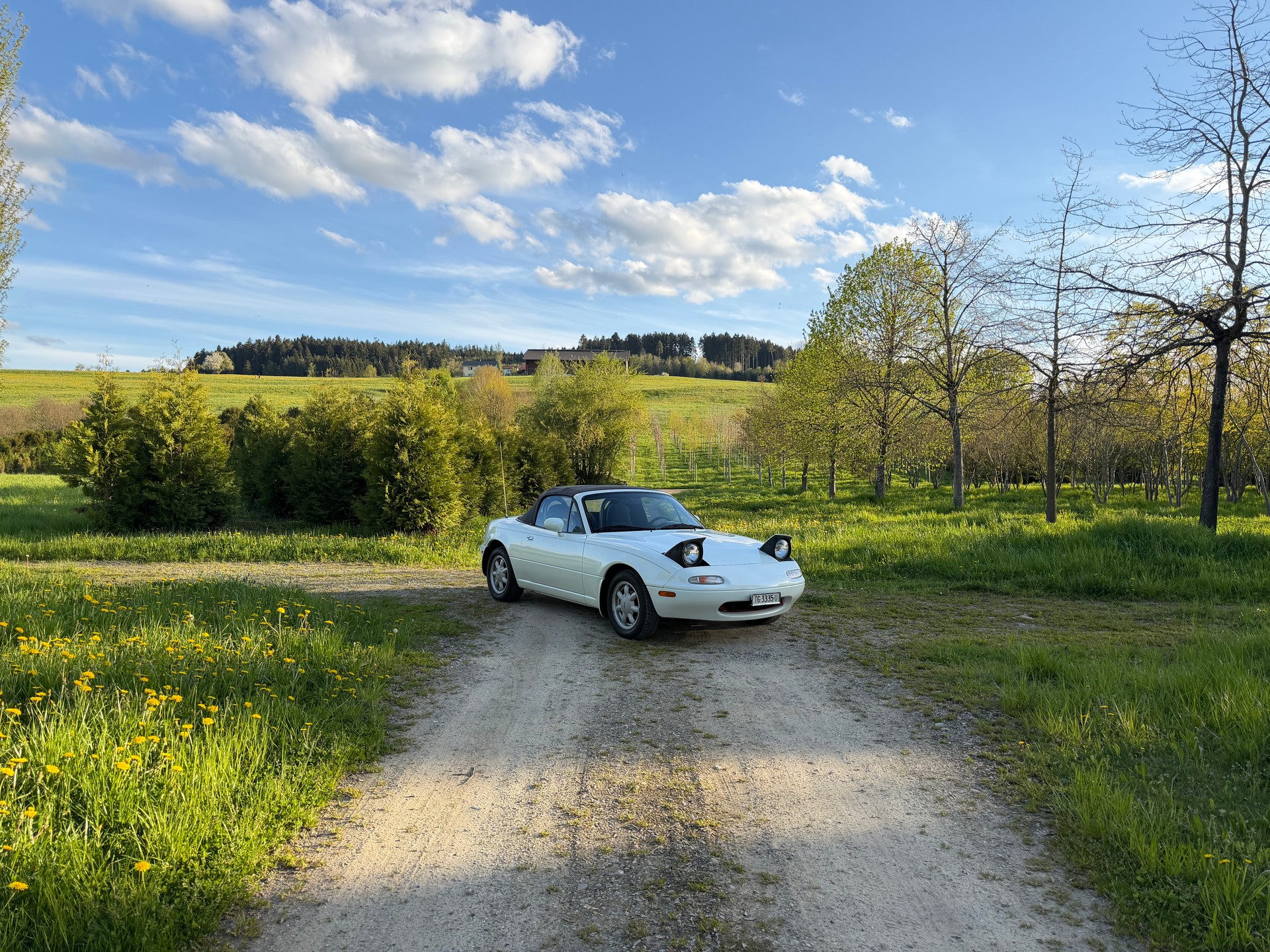 MAZDA MX-5 1.6i-16