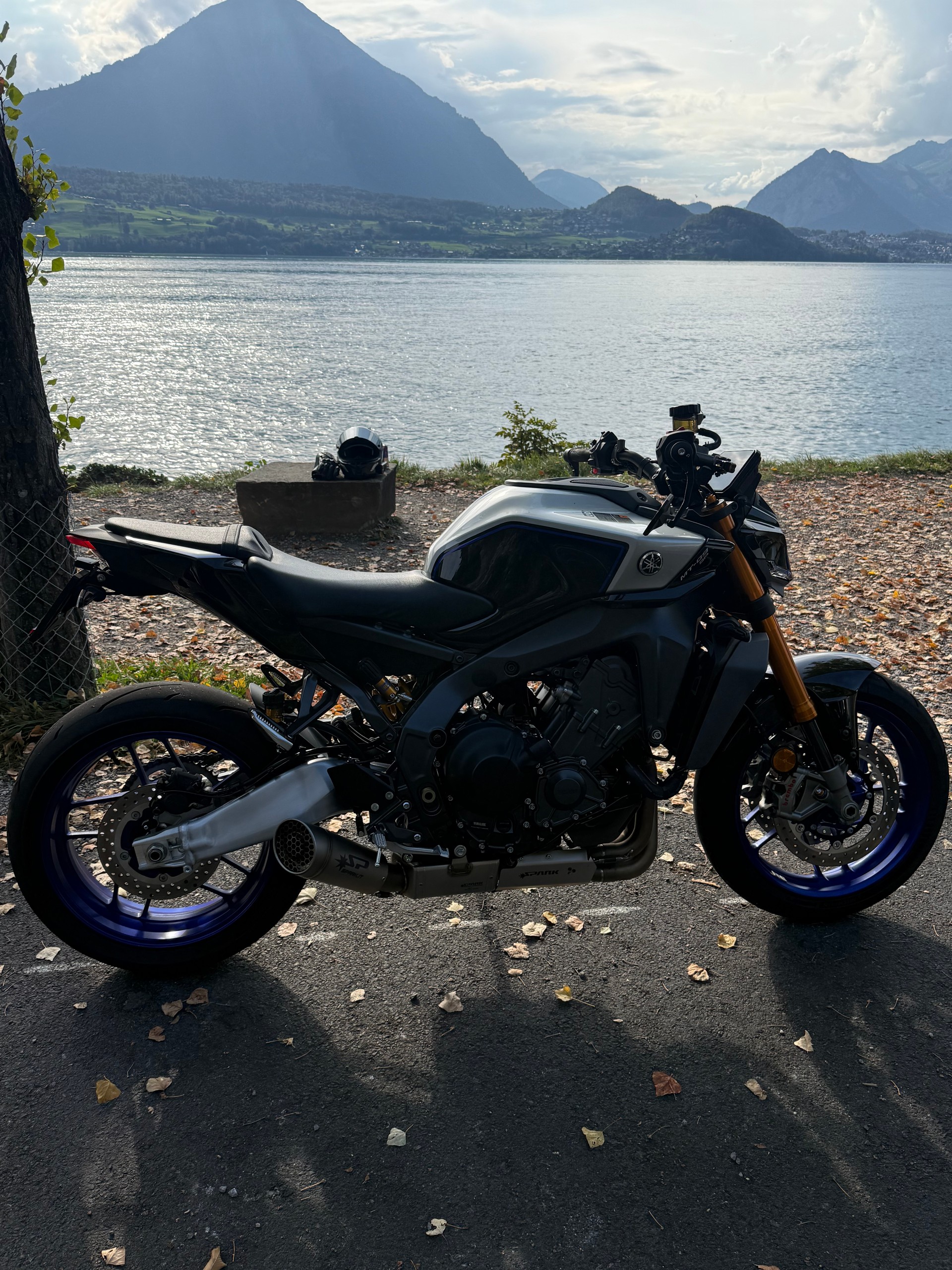 YAMAHA MT-09 SP-image-3