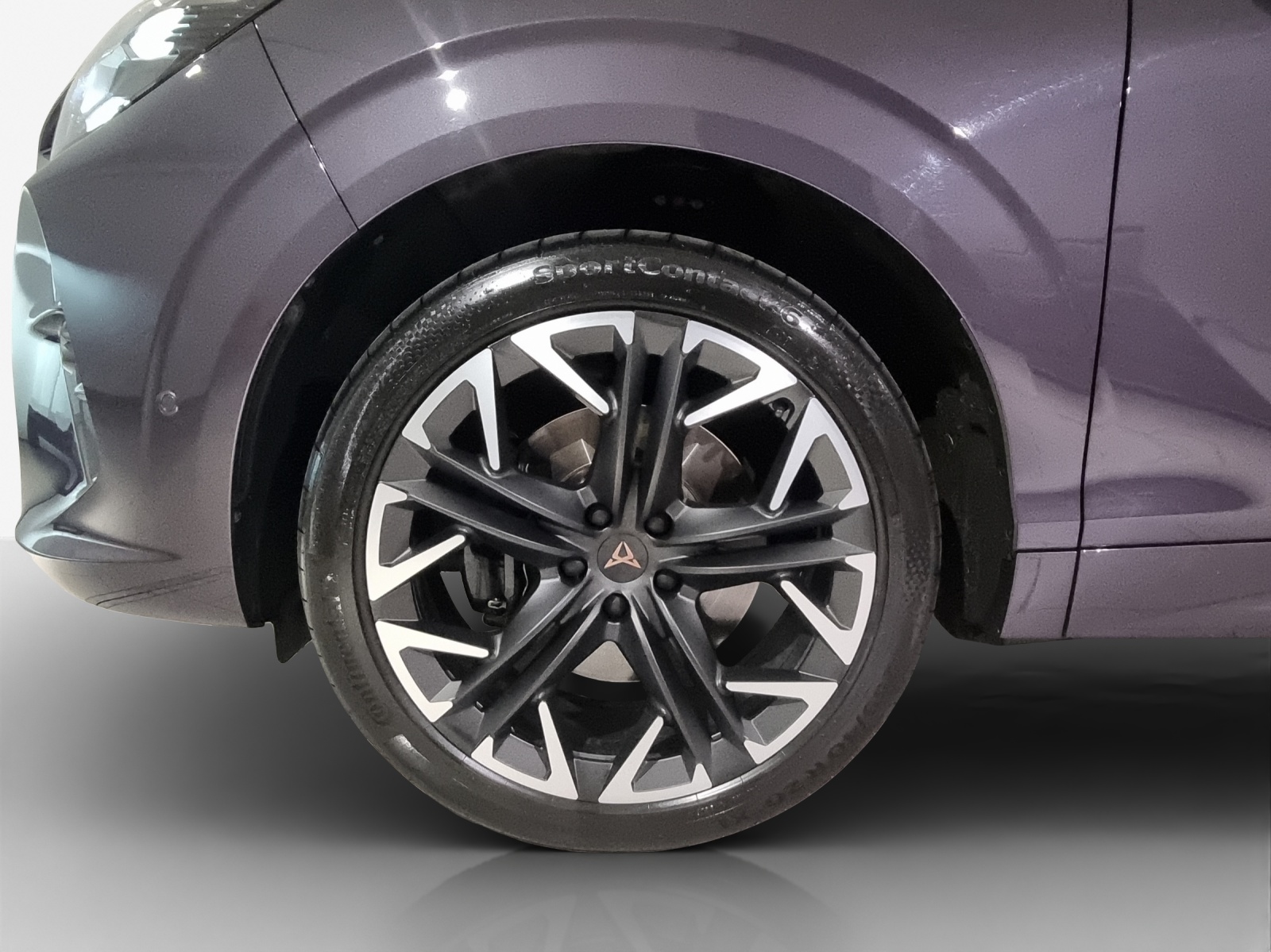 CUPRA Terramar 2.0 TSI DSG 4Drive VZ-image-13
