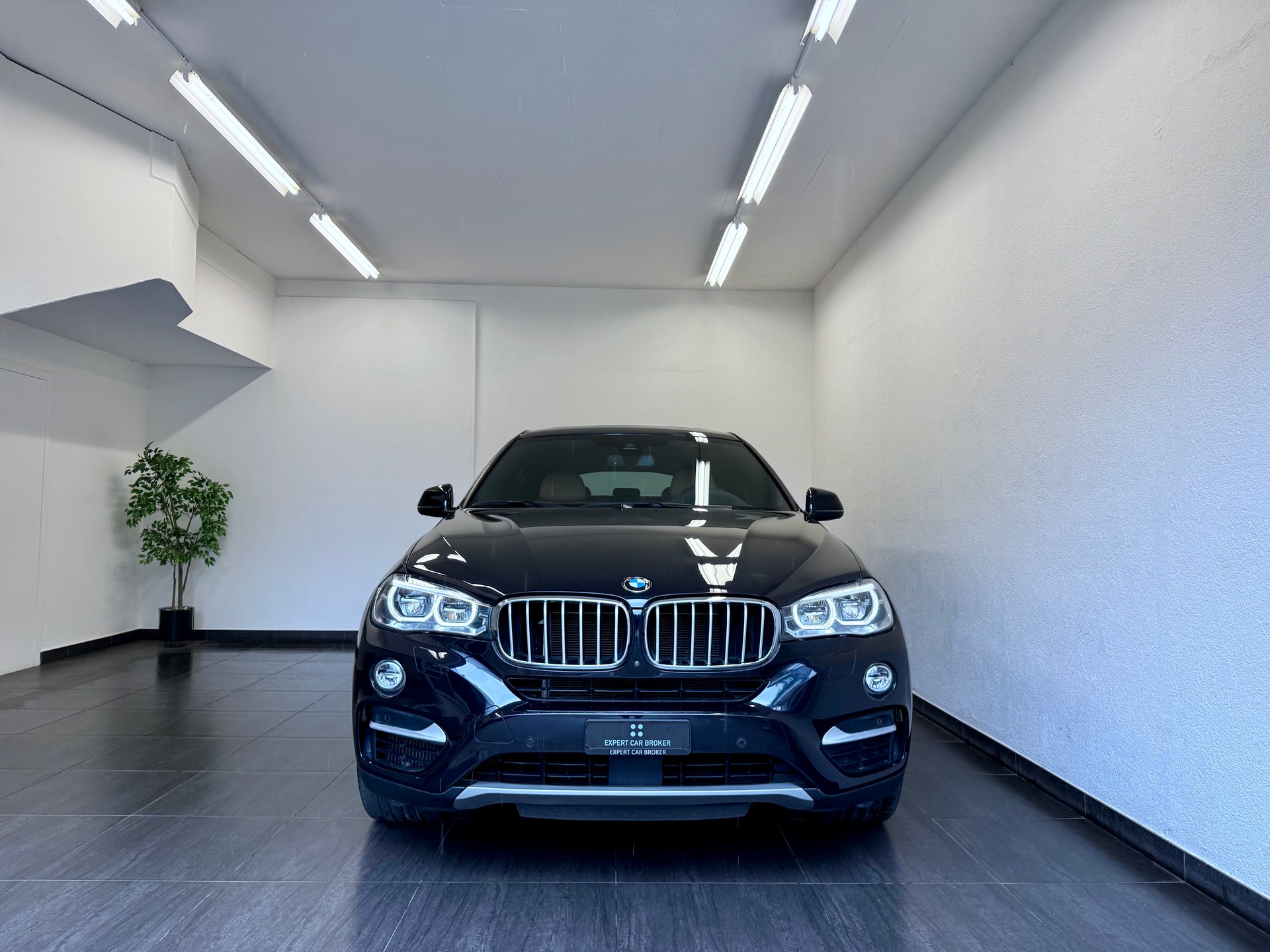 BMW X6 xDrive 50i Steptronic-showroom-element-3