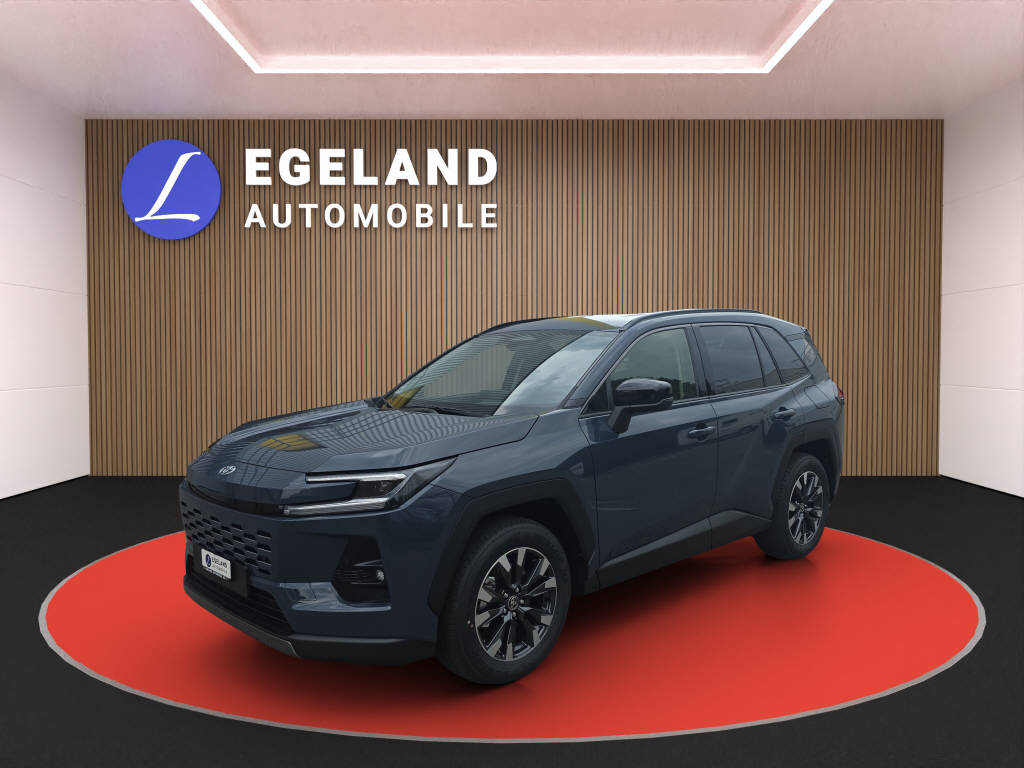 TOYOTA RAV-4 2.5 HEV Trend 4WD
