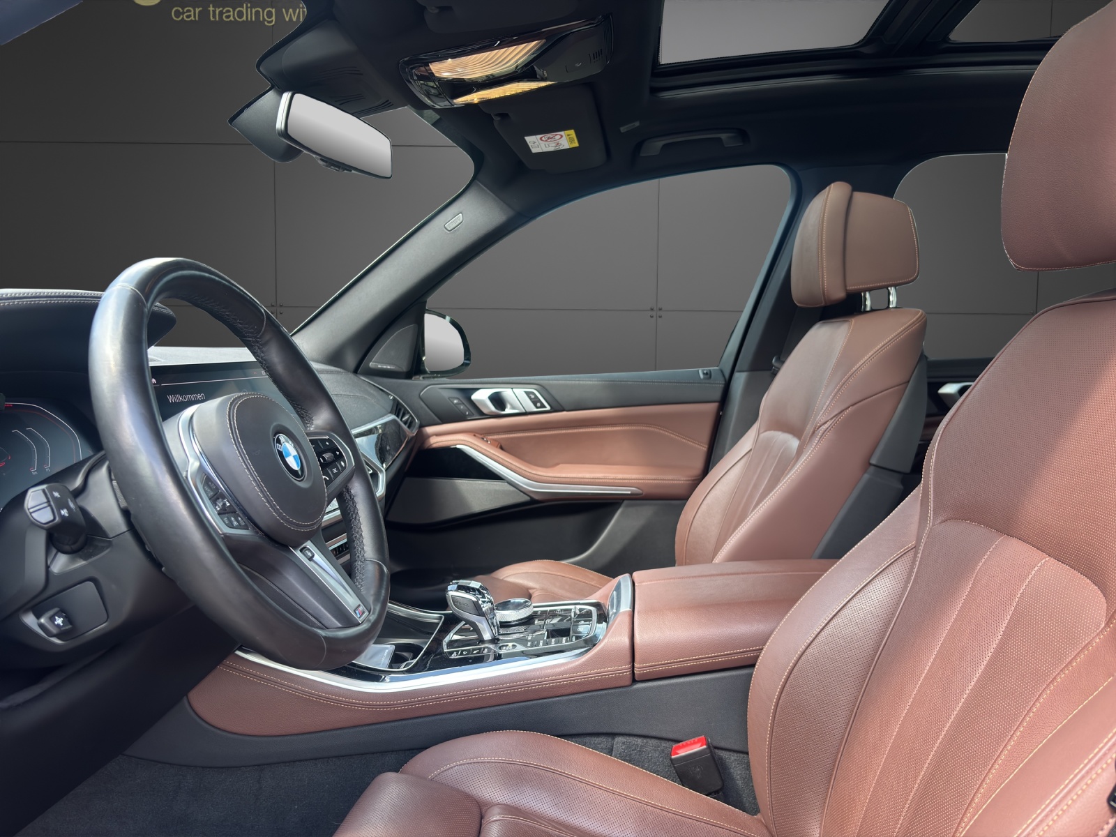 BMW X5 xDrive 40i Steptronic-showroom-element-2