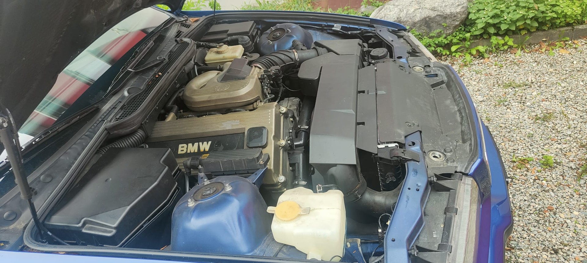 BMW 318ti Compact-image-6
