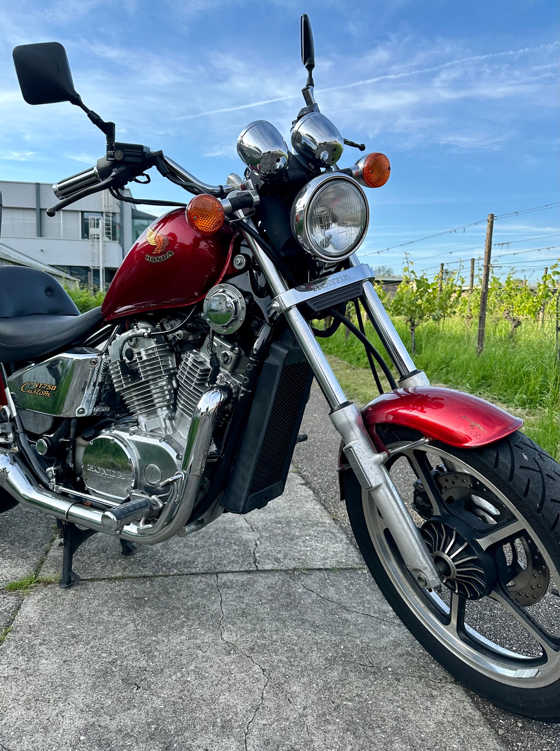 HONDA VT 750 C H Custom-image-1