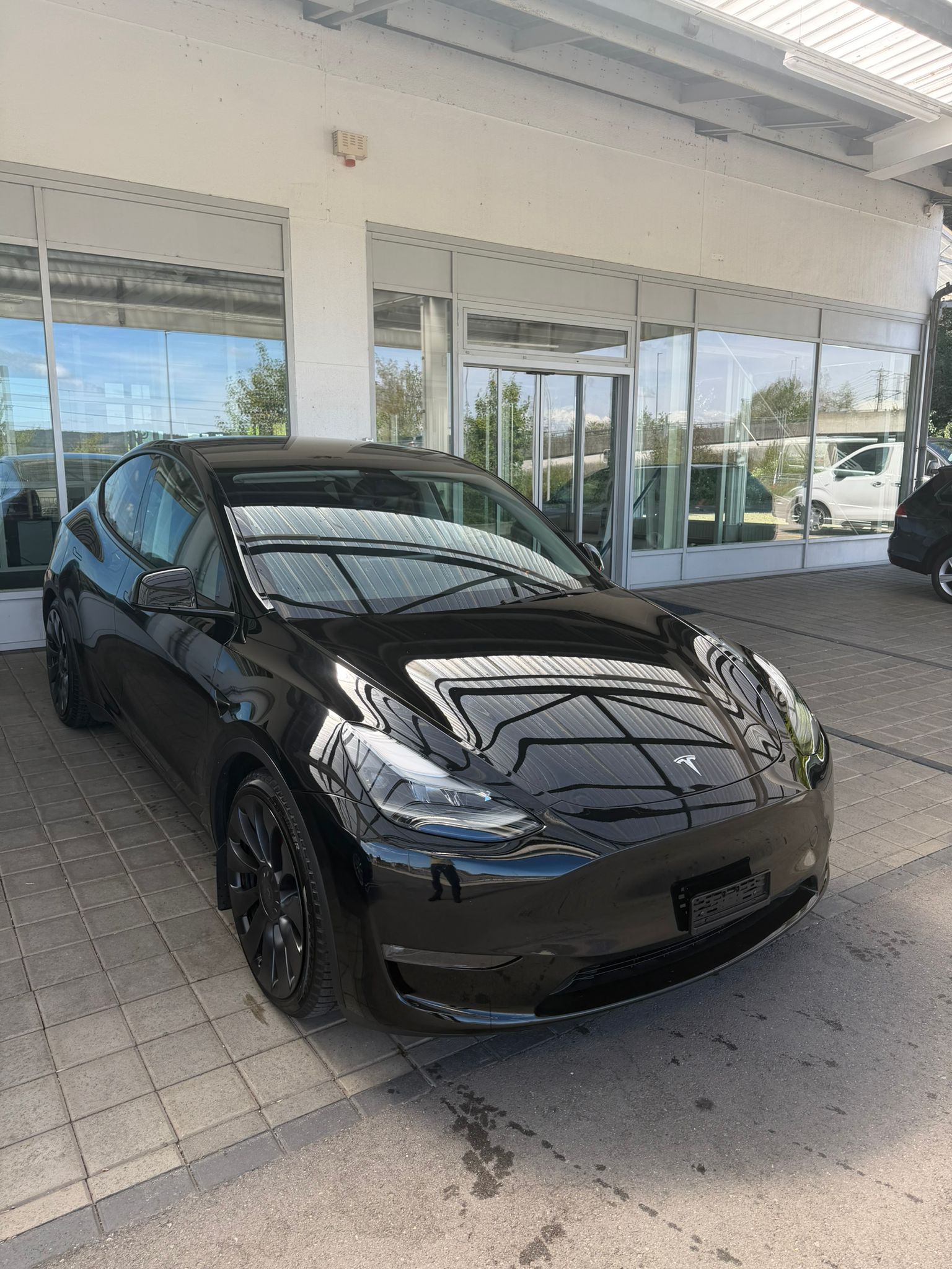 TESLA Model Y Performance