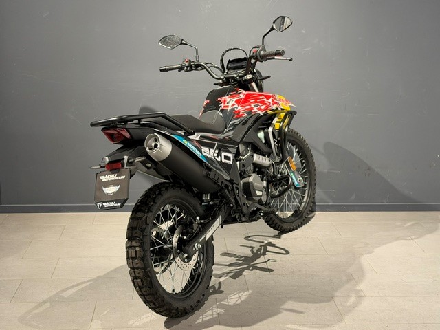 CF MOTO 250 Dual-image-5