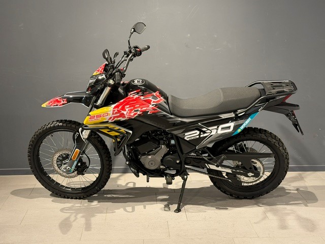 CF MOTO 250 Dual-image-3