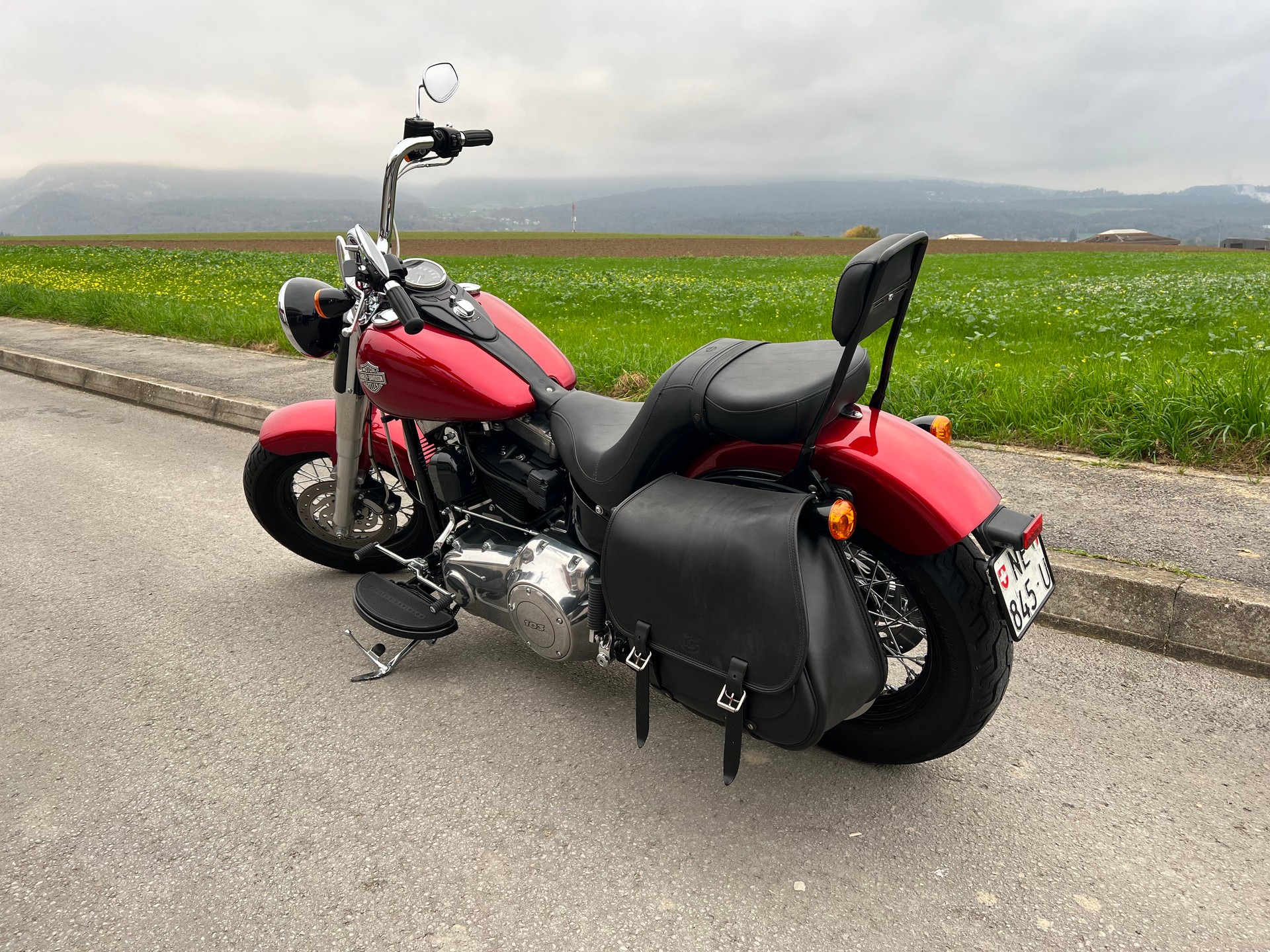 HARLEY-DAVIDSON FLS Softail Slim ABS-image-3