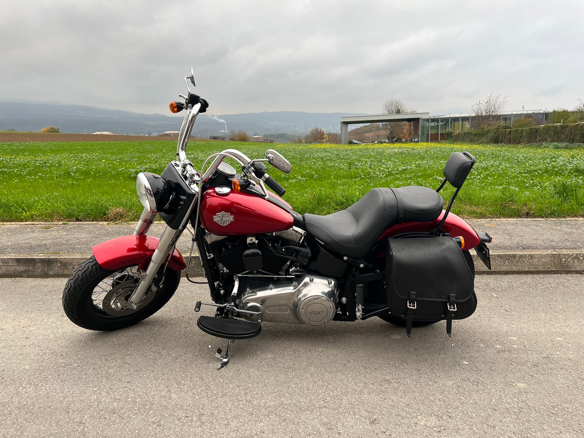 HARLEY-DAVIDSON FLS Softail Slim ABS-image-4