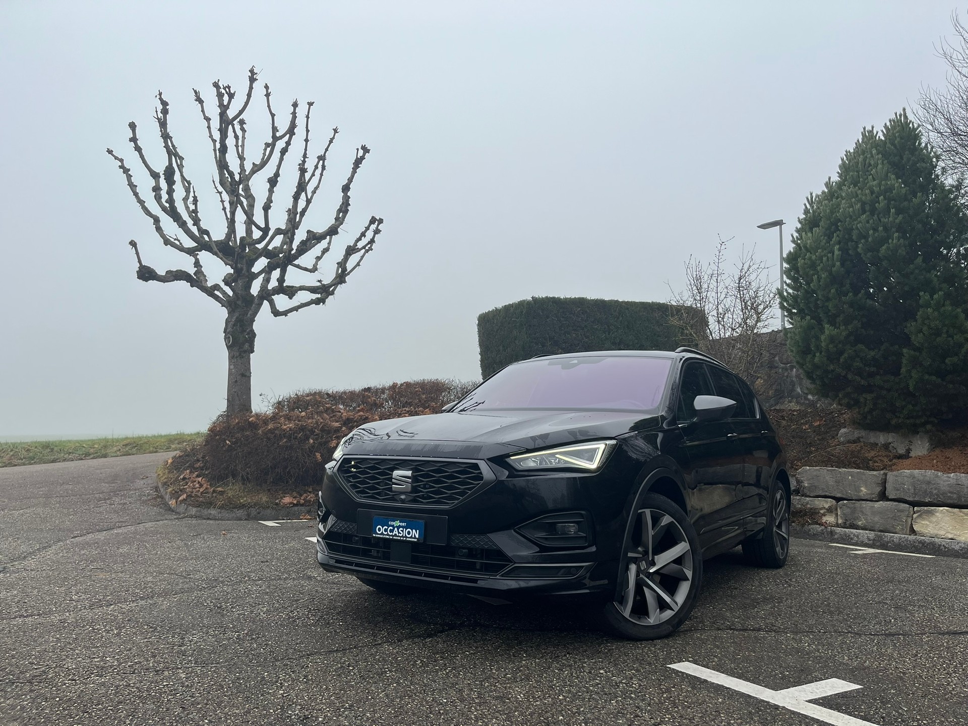 SEAT Tarraco 2.0 TDI CR Hola FR 4Drive DSG