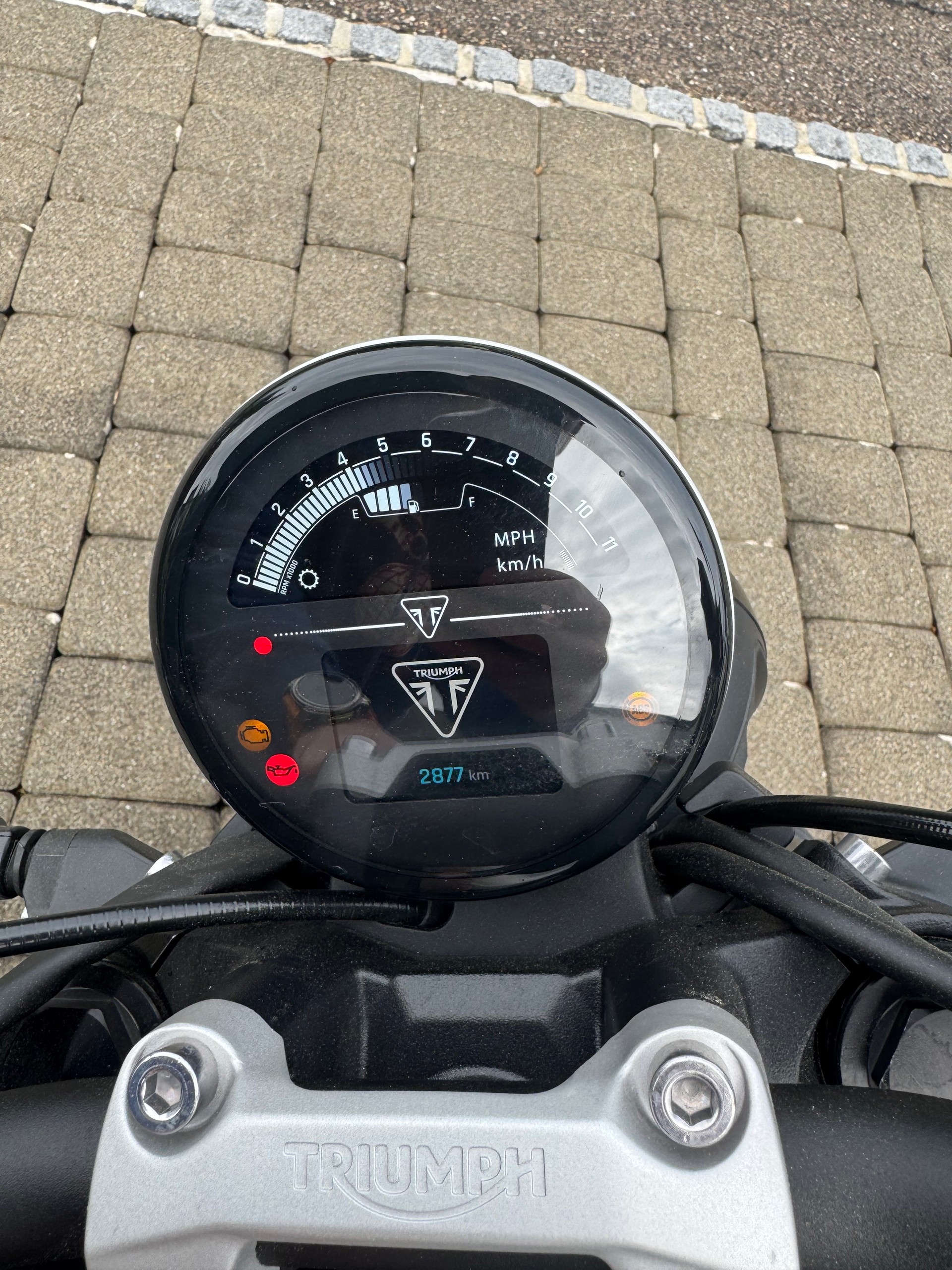 TRIUMPH Trident 660-image-4