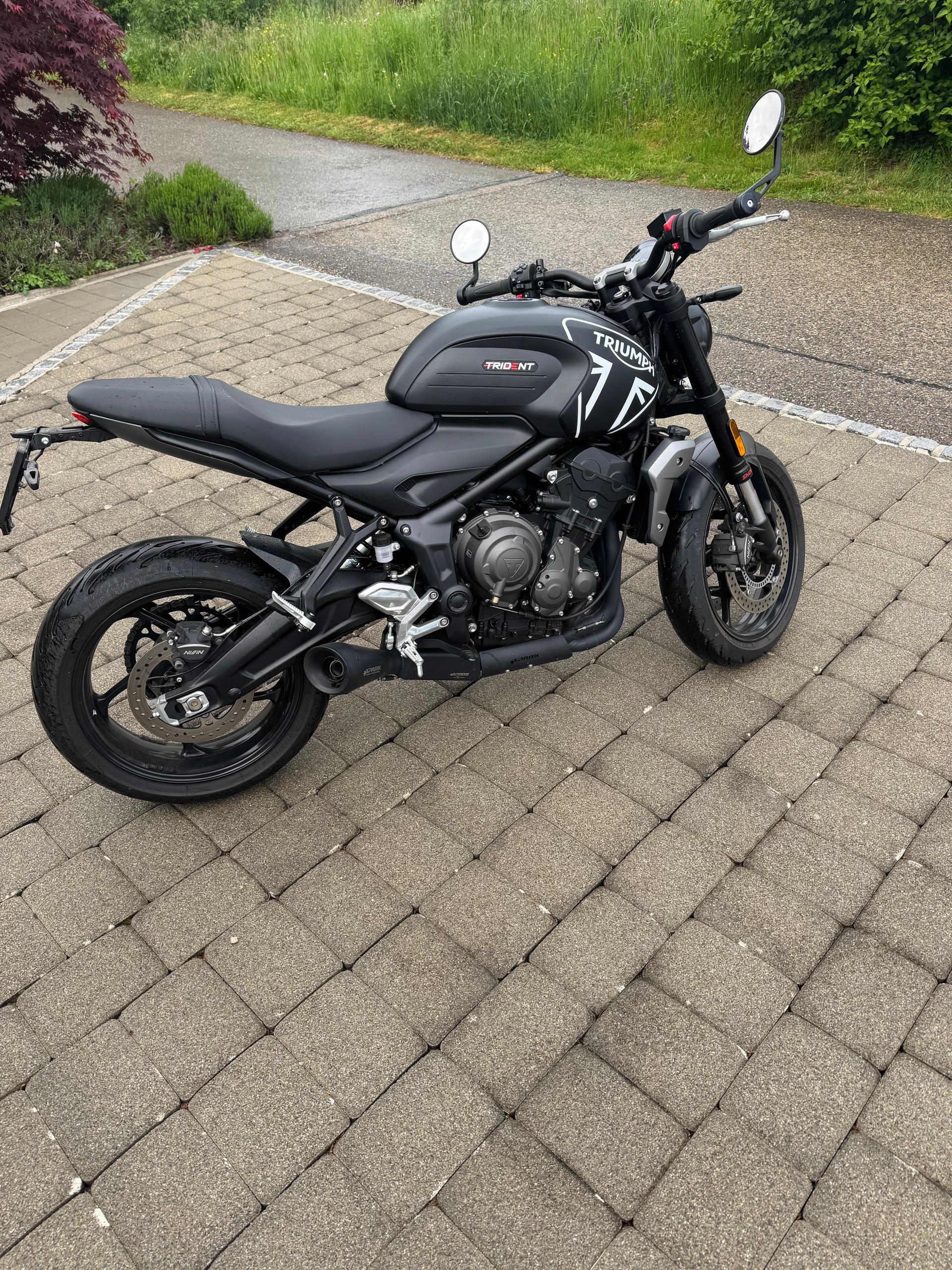 TRIUMPH Trident 660-image-0