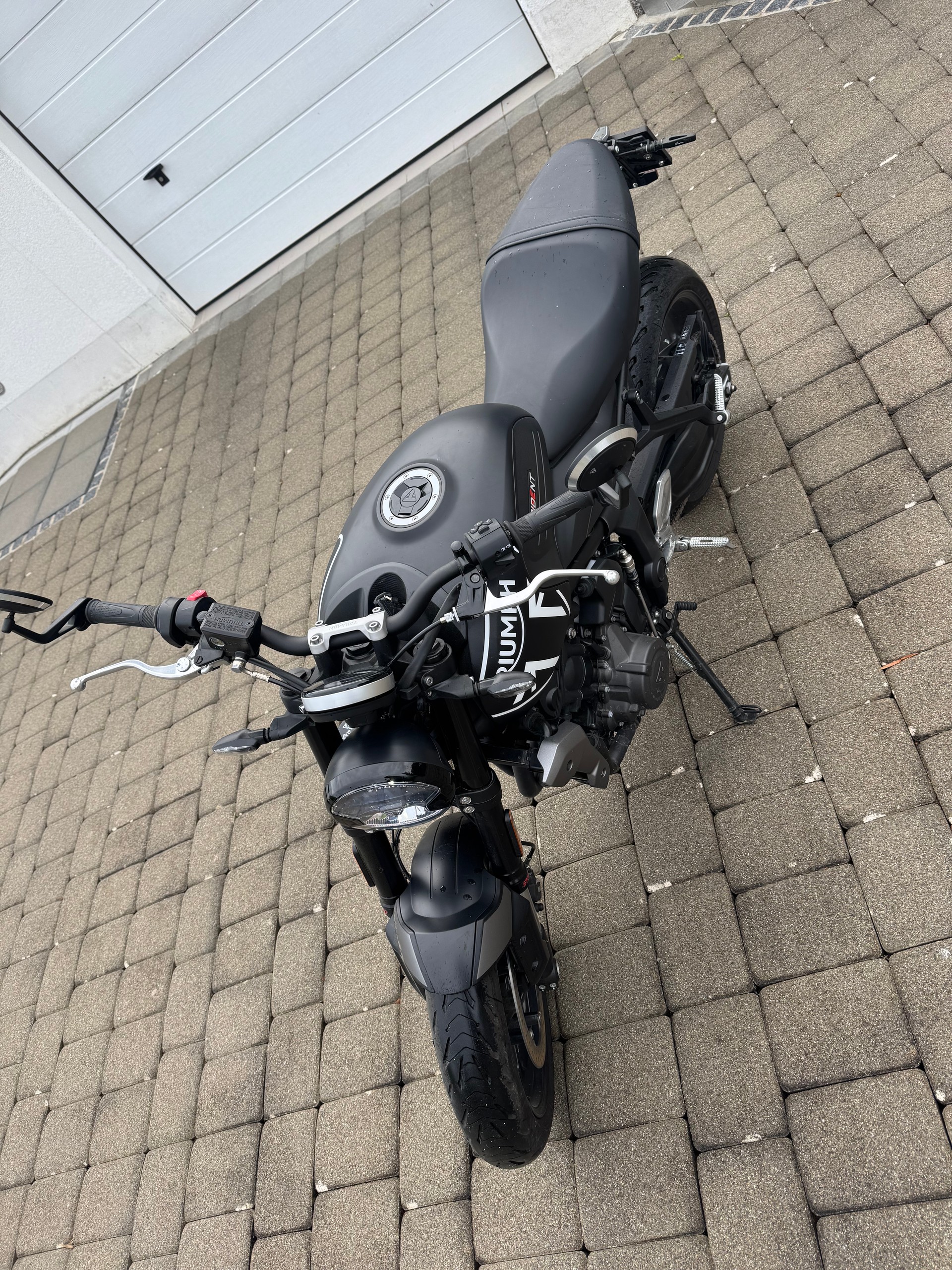 TRIUMPH Trident 660-image-3