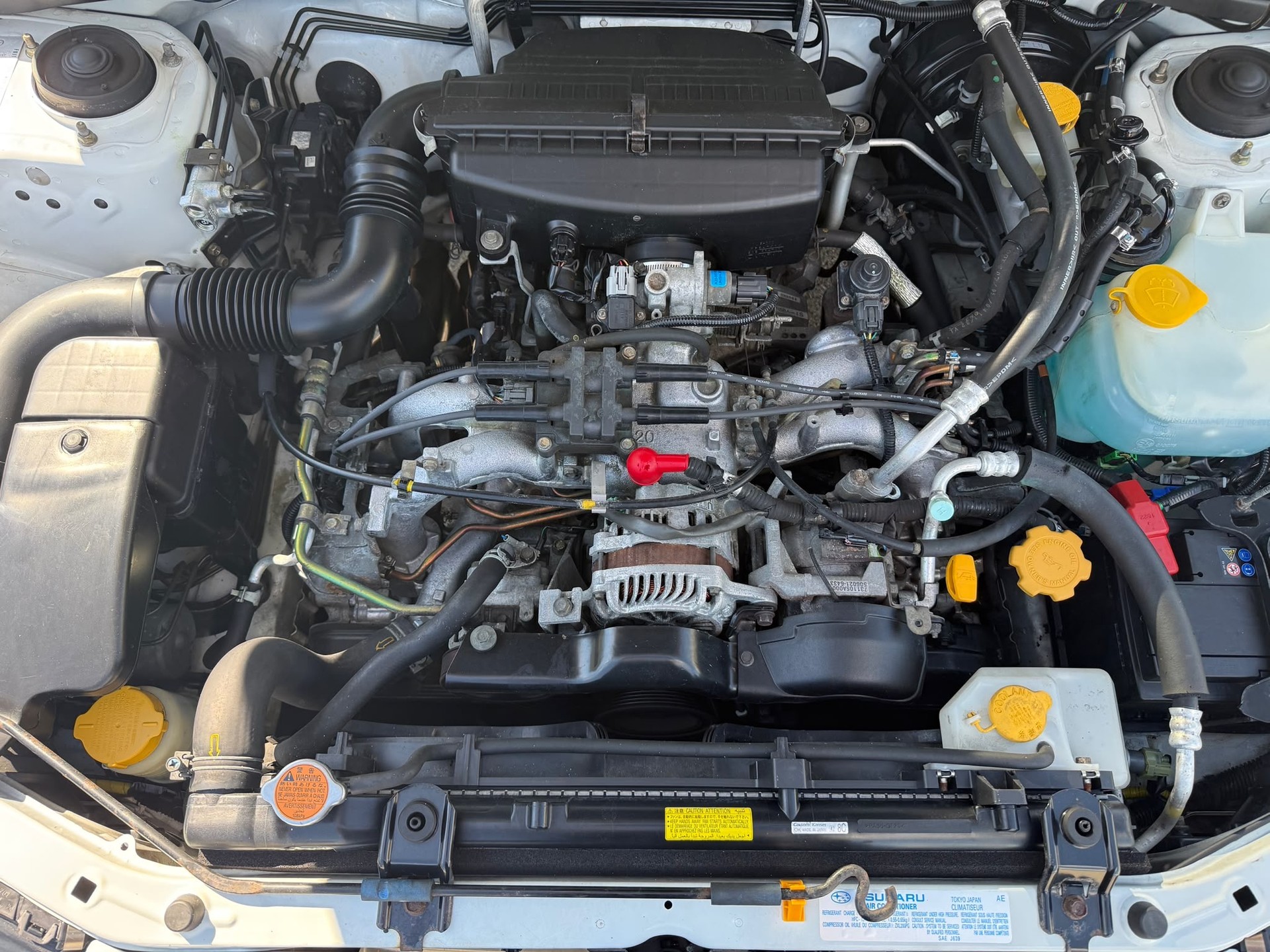 SUBARU Forester 2.0X Comfort Automatic-image-6