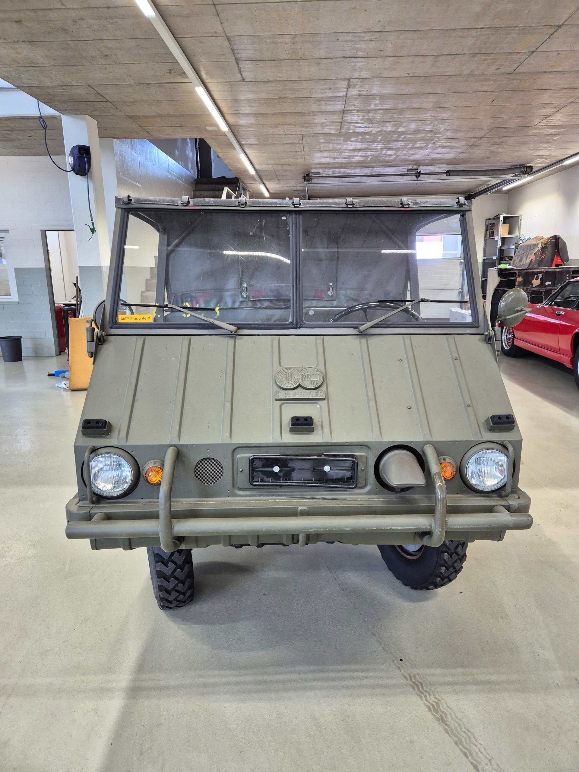 PUCH Haflinger