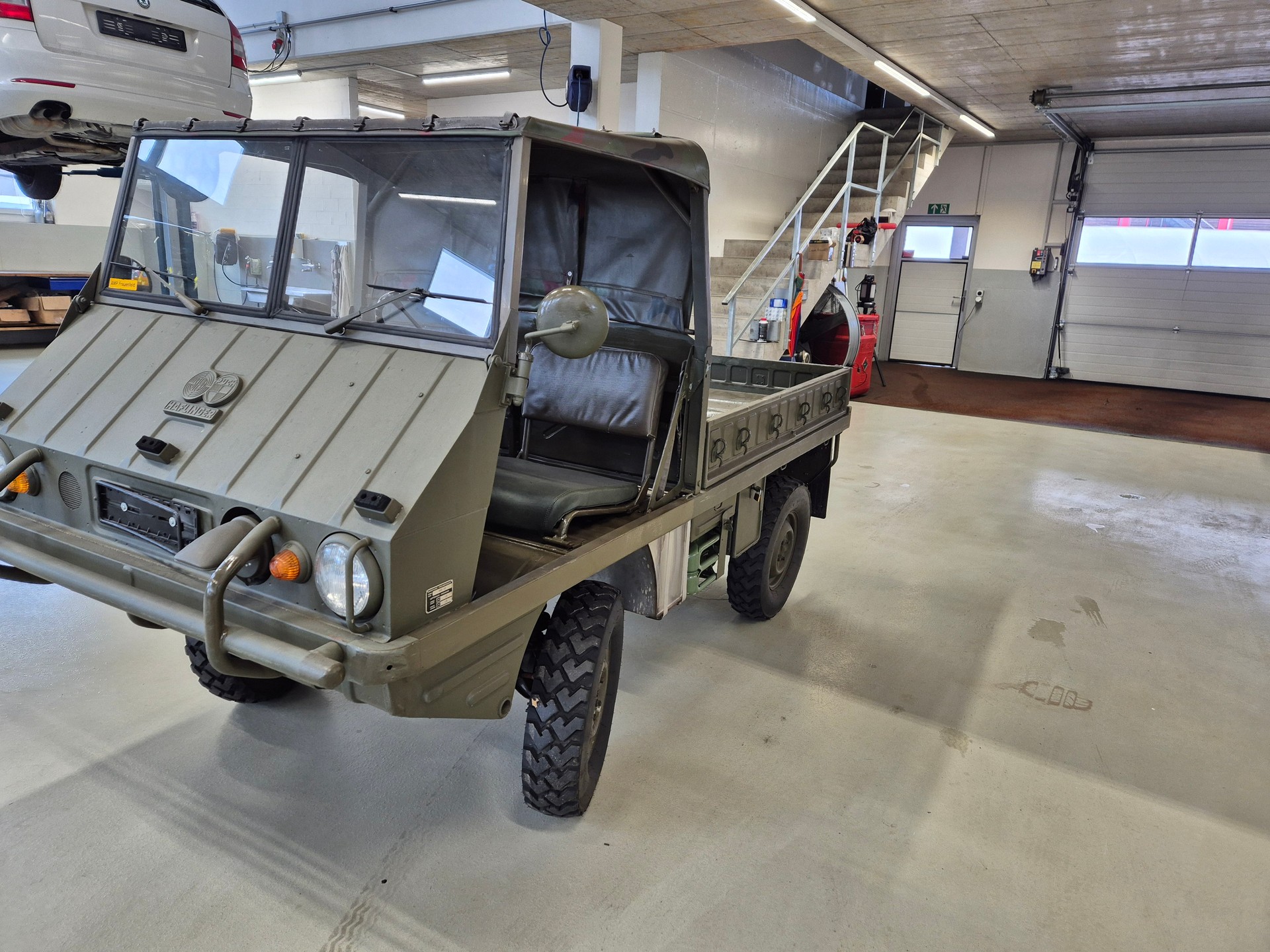 PUCH Haflinger-image-2