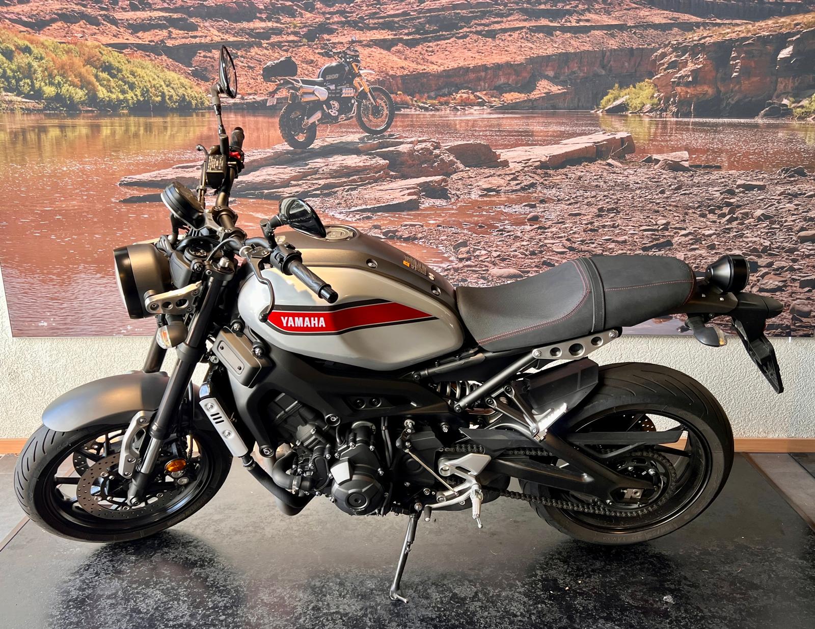 YAMAHA XSR 900-image-3