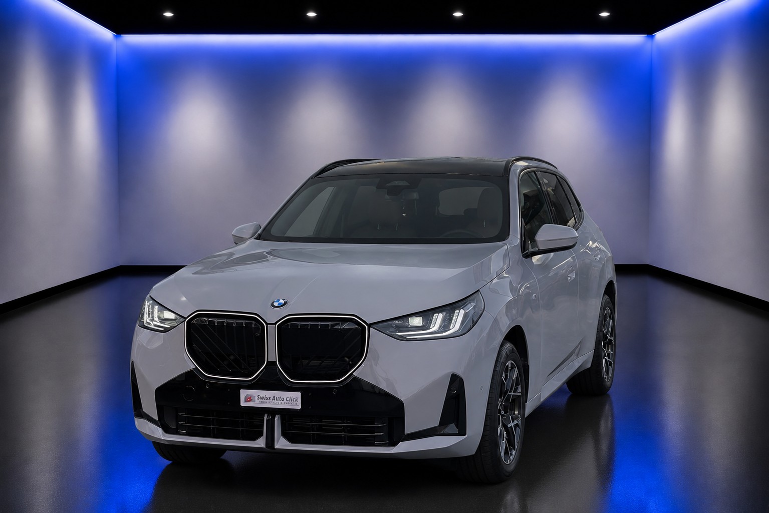 BMW X3 xDrive 48V 20d M Sport