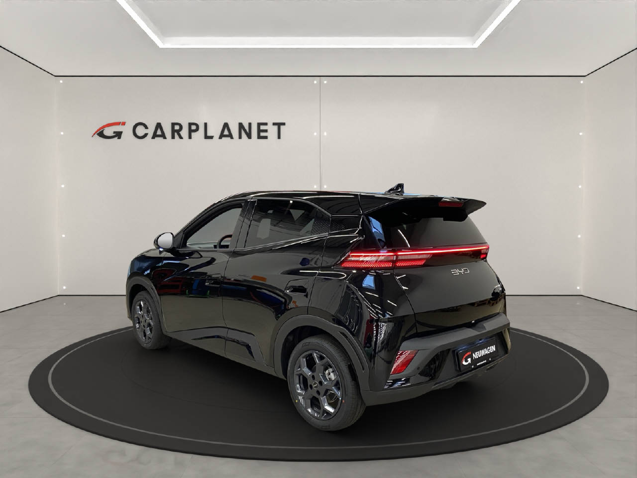 BYD Dolphin Surf Comfort-showroom-element-2
