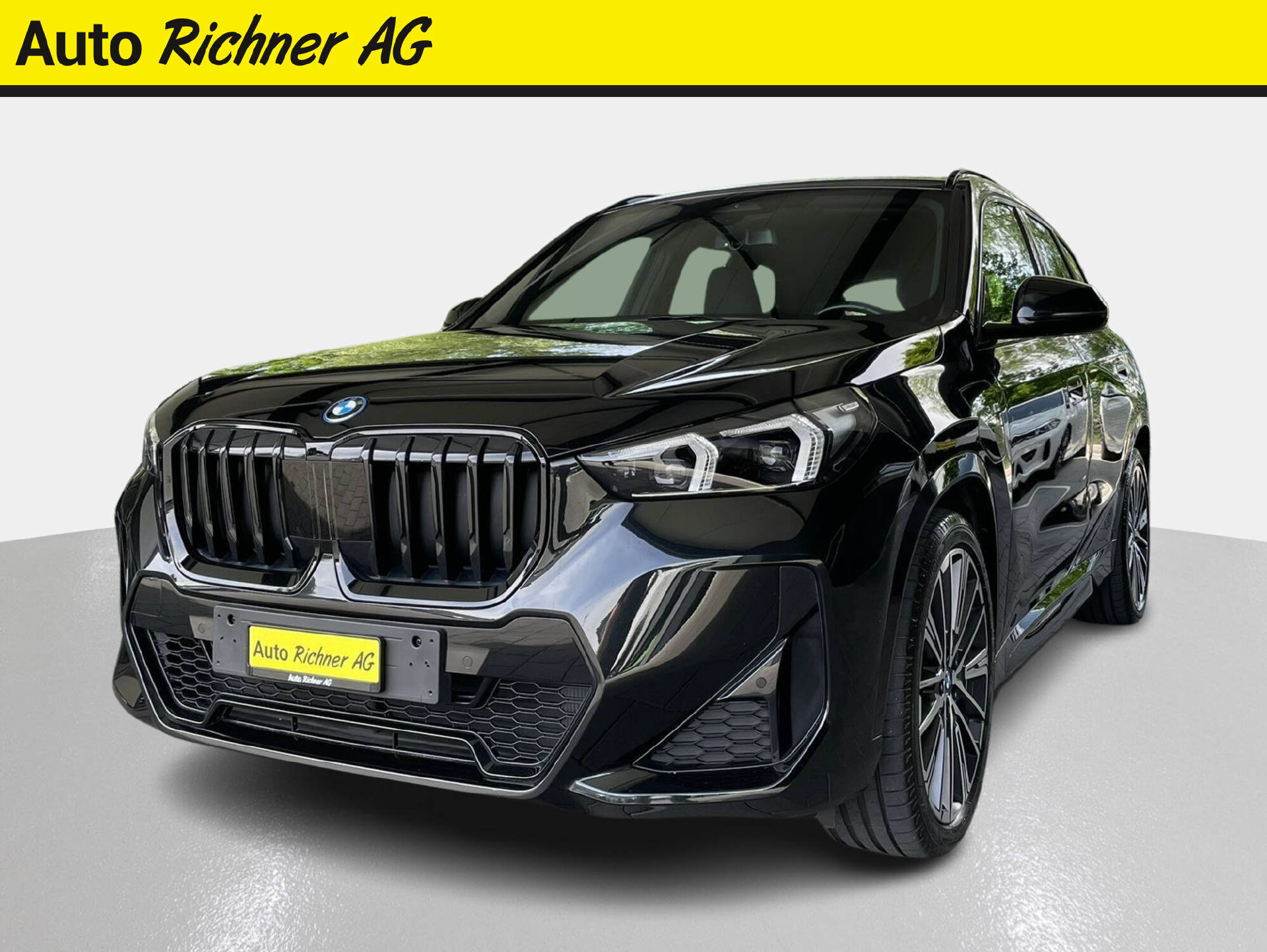 BMW X1 25e xDrive paddles-showroom-element-1