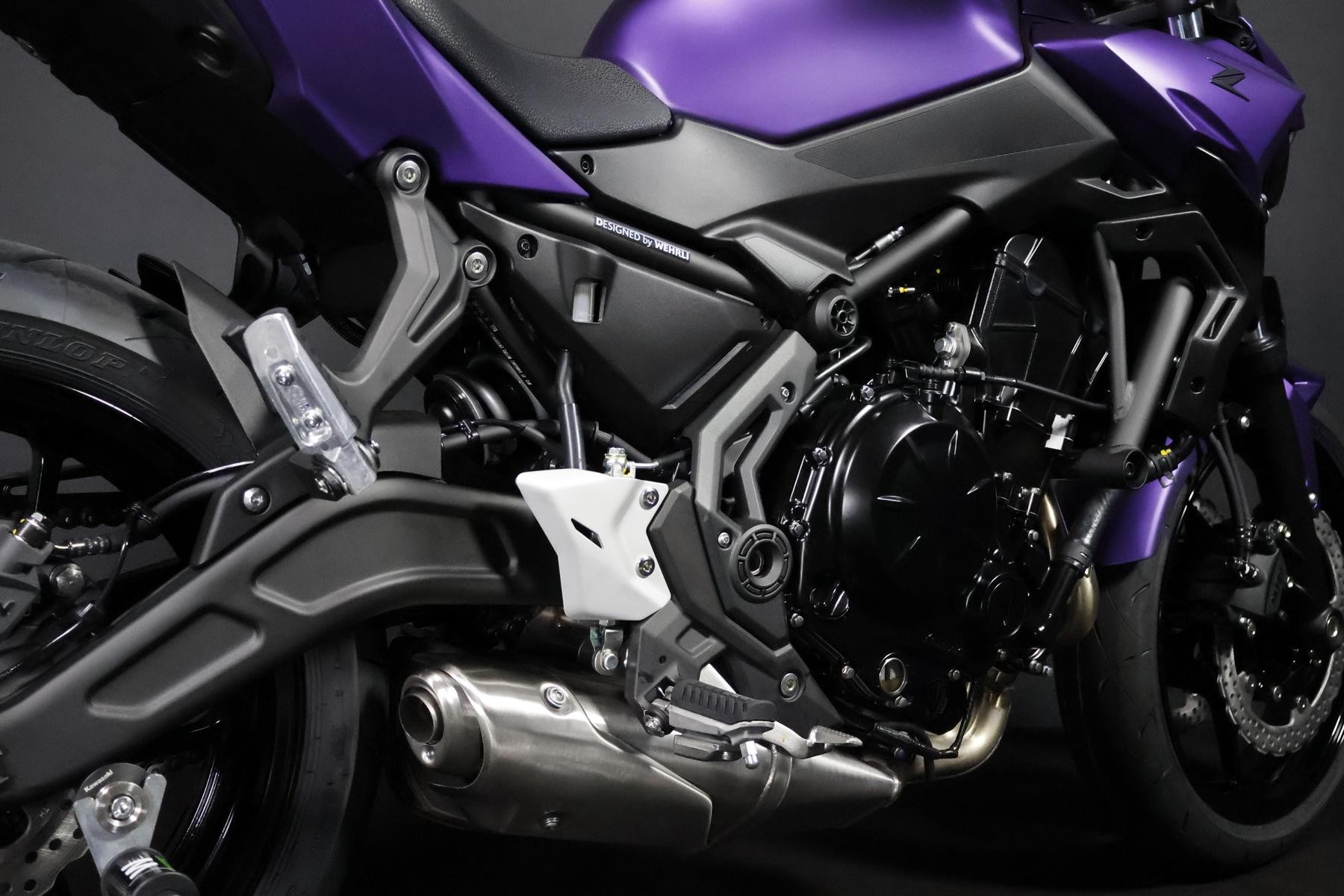 KAWASAKI Z 650 (50/35 KW) *Black Goblin* Level 1-image-8