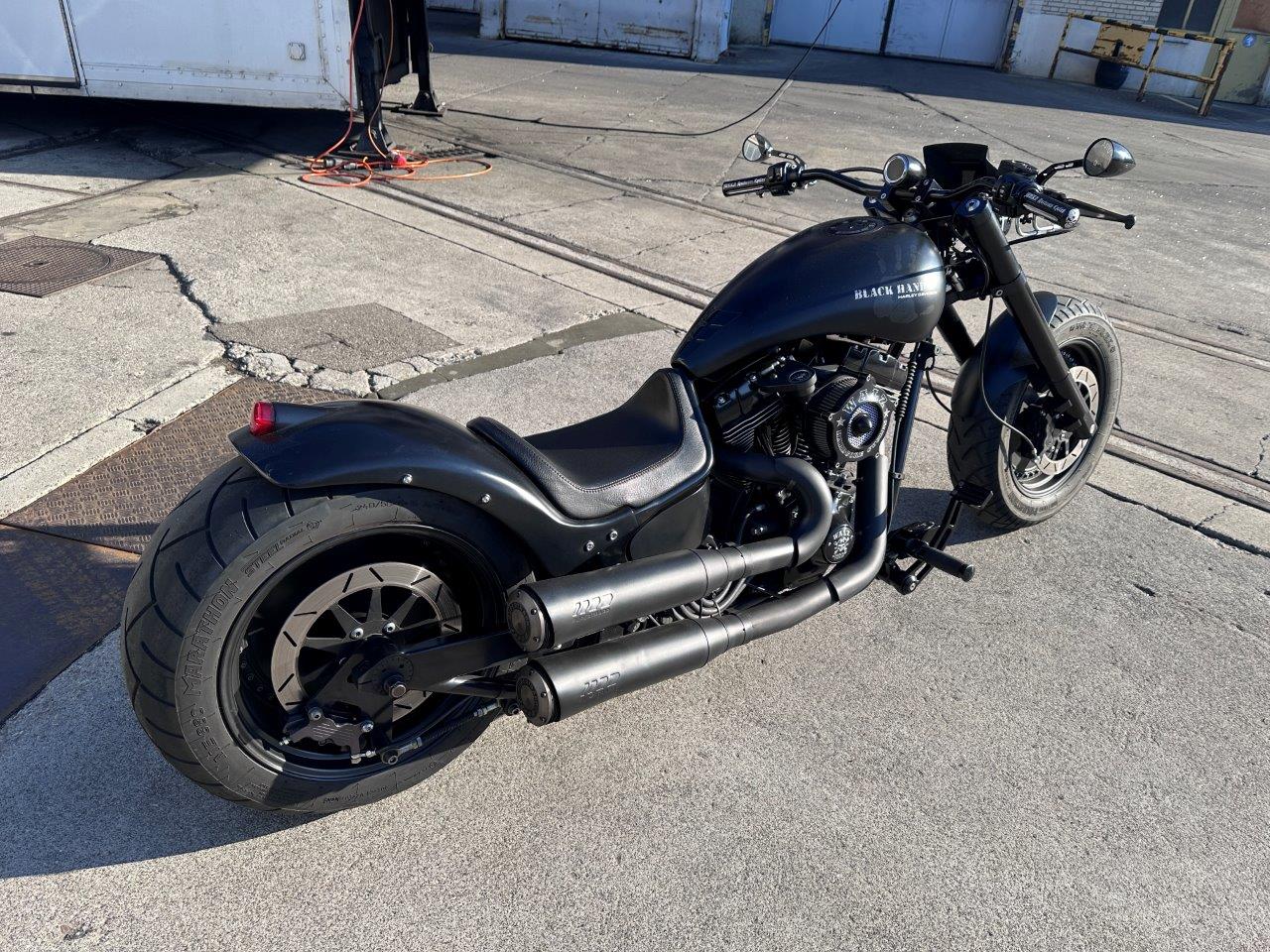 HPU Walz Hardcore Harley Custom Bike-image-6