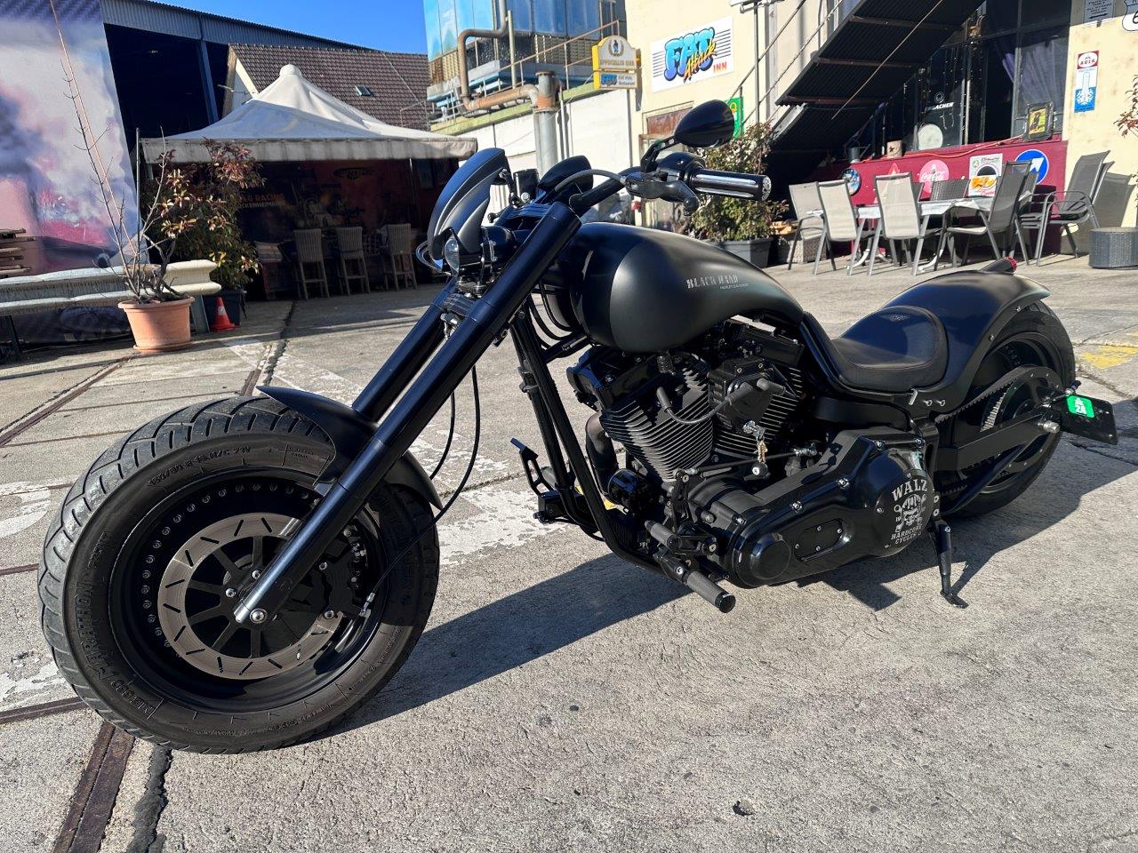 HPU Walz Hardcore Harley Custom Bike-image-2