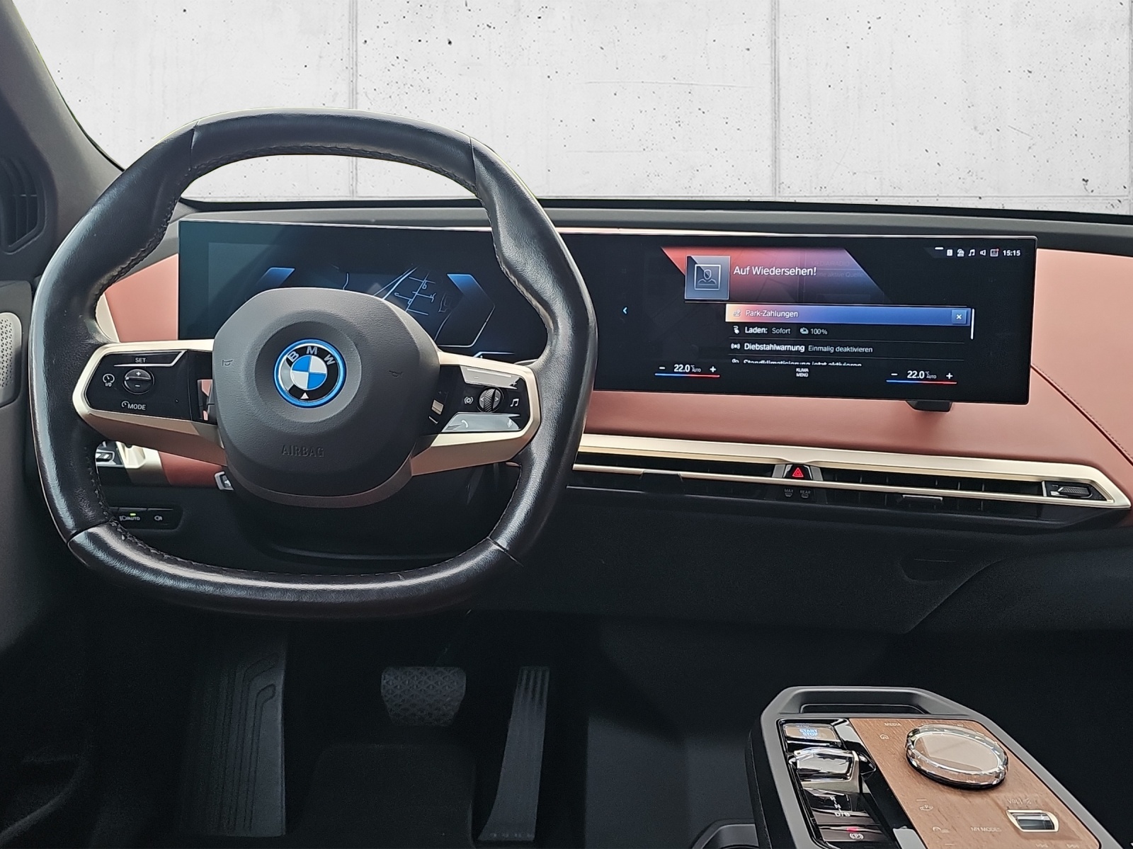 BMW iX xDrive50-image-15