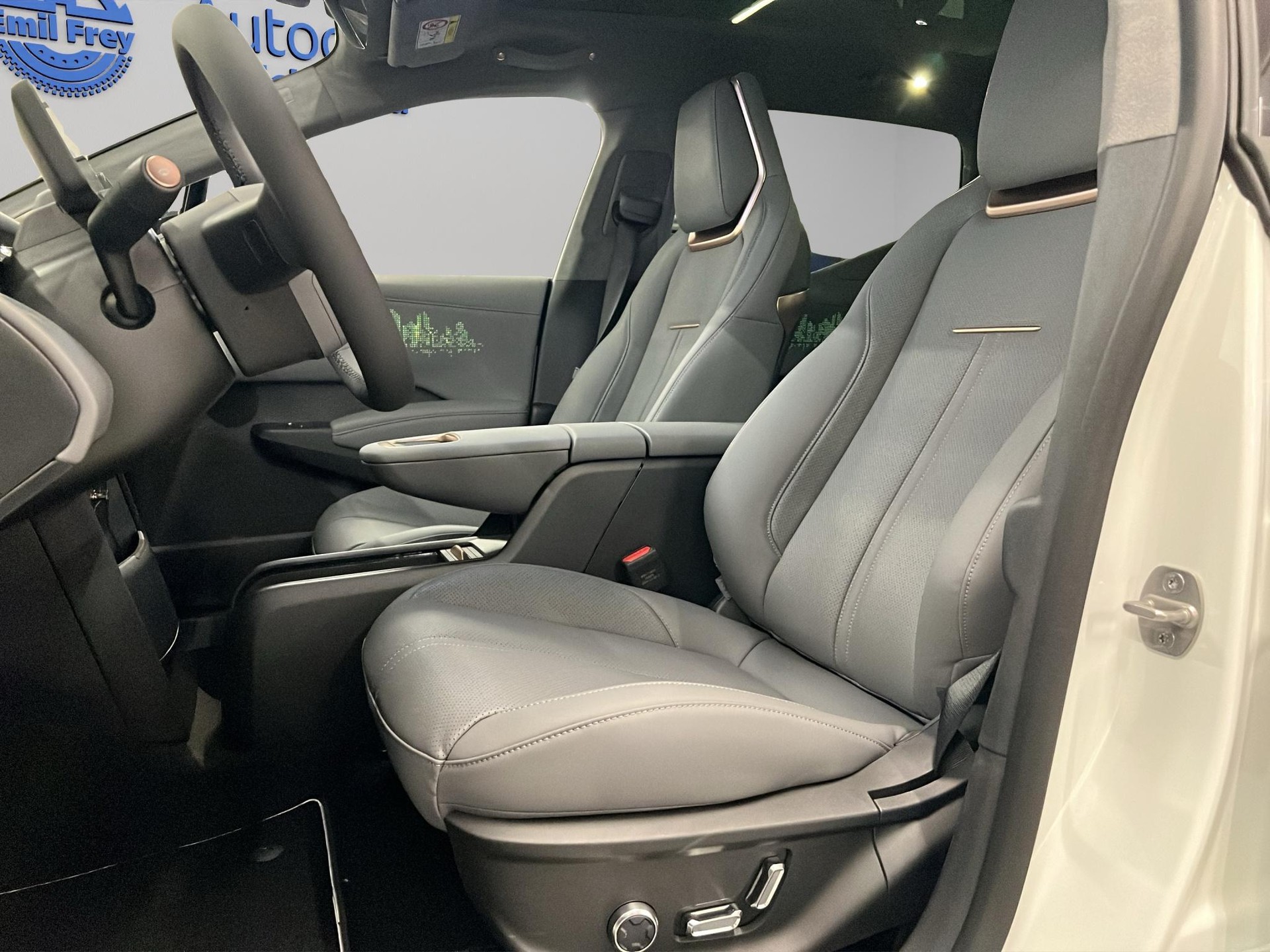 ZEEKR X Privilege AWD-image-8