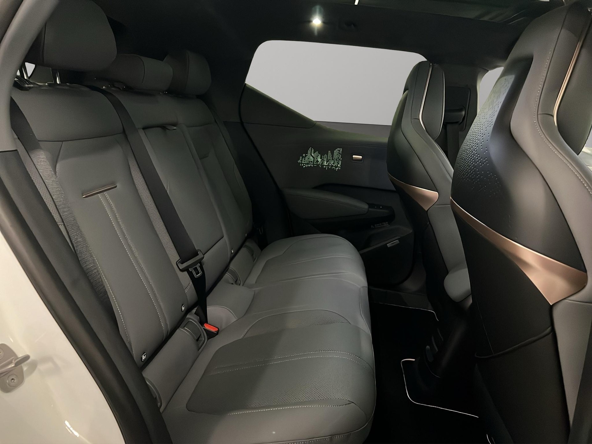 ZEEKR X Privilege AWD-image-7
