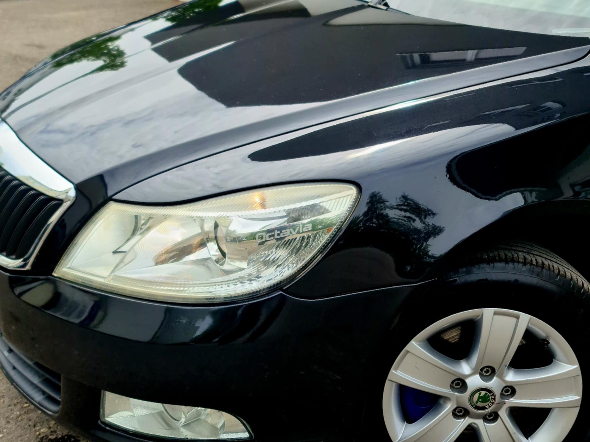 SKODA Octavia Combi 1.8 TSI 50Years 4x4-image-1