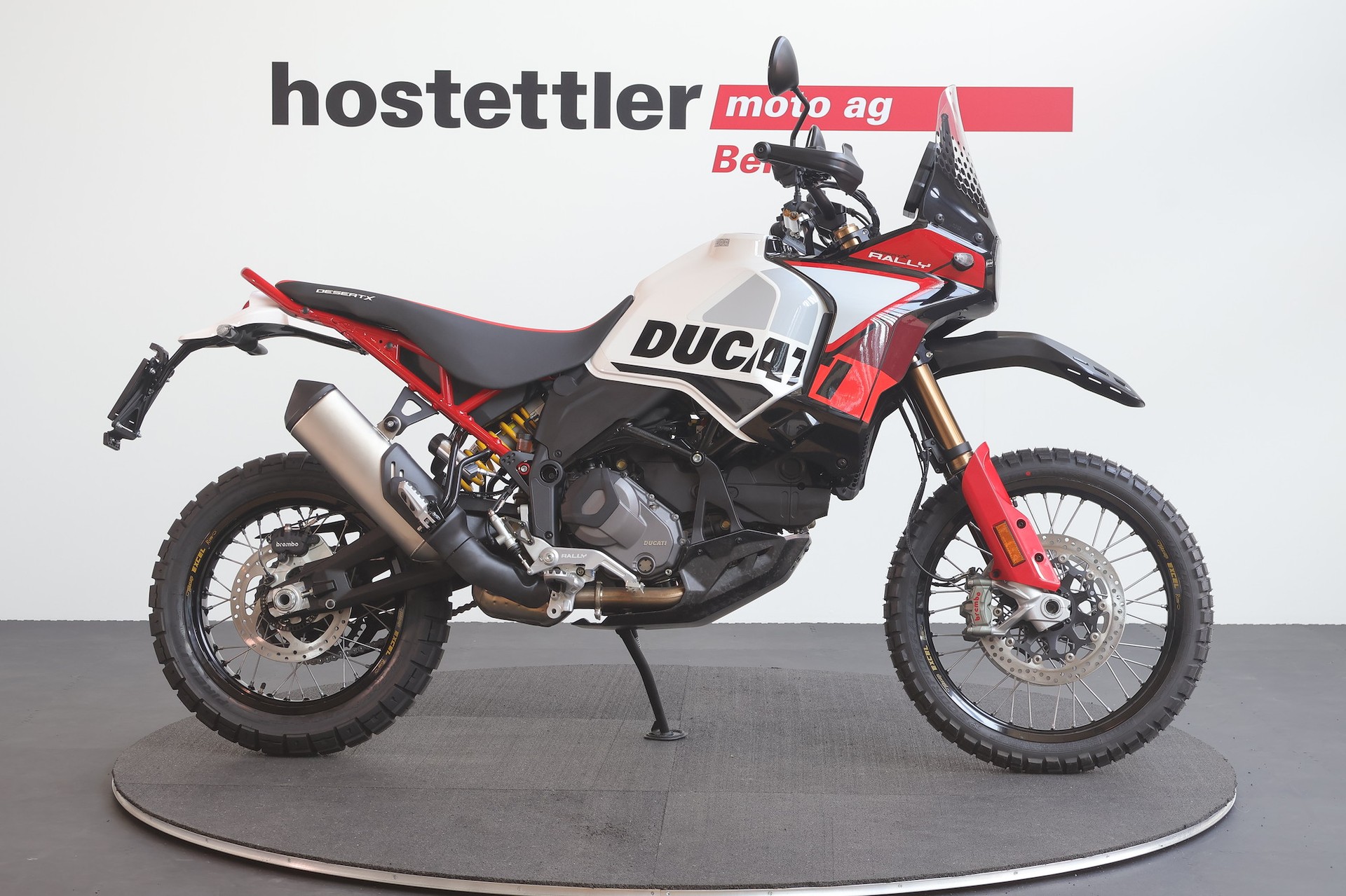DUCATI Desert X Rally-image-1